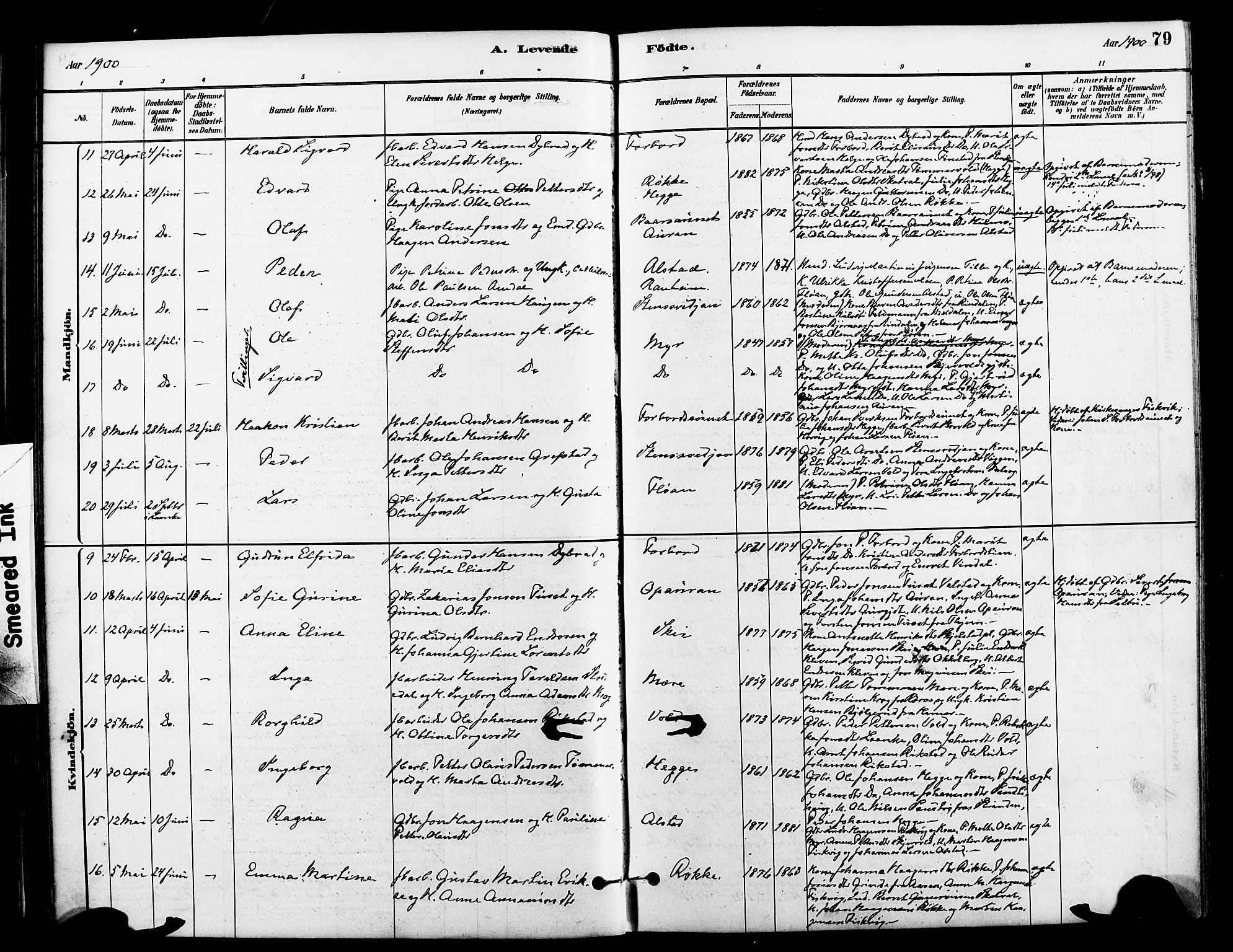 Ministerialprotokoller, klokkerbøker og fødselsregistre - Nord-Trøndelag, AV/SAT-A-1458/712/L0100: Parish register (official) no. 712A01, 1880-1900, p. 79