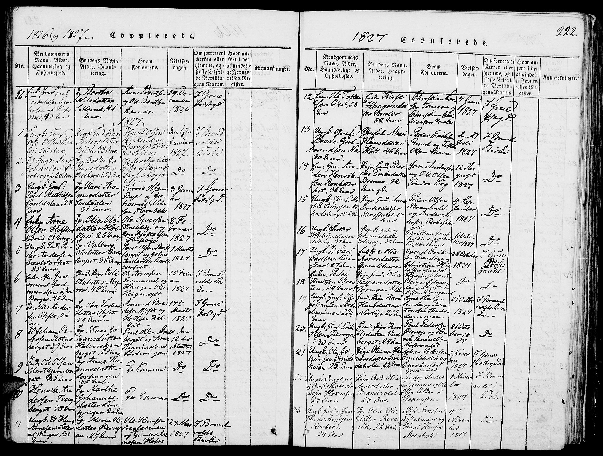 Grue prestekontor, AV/SAH-PREST-036/H/Ha/Haa/L0006: Parish register (official) no. 6, 1814-1830, p. 222