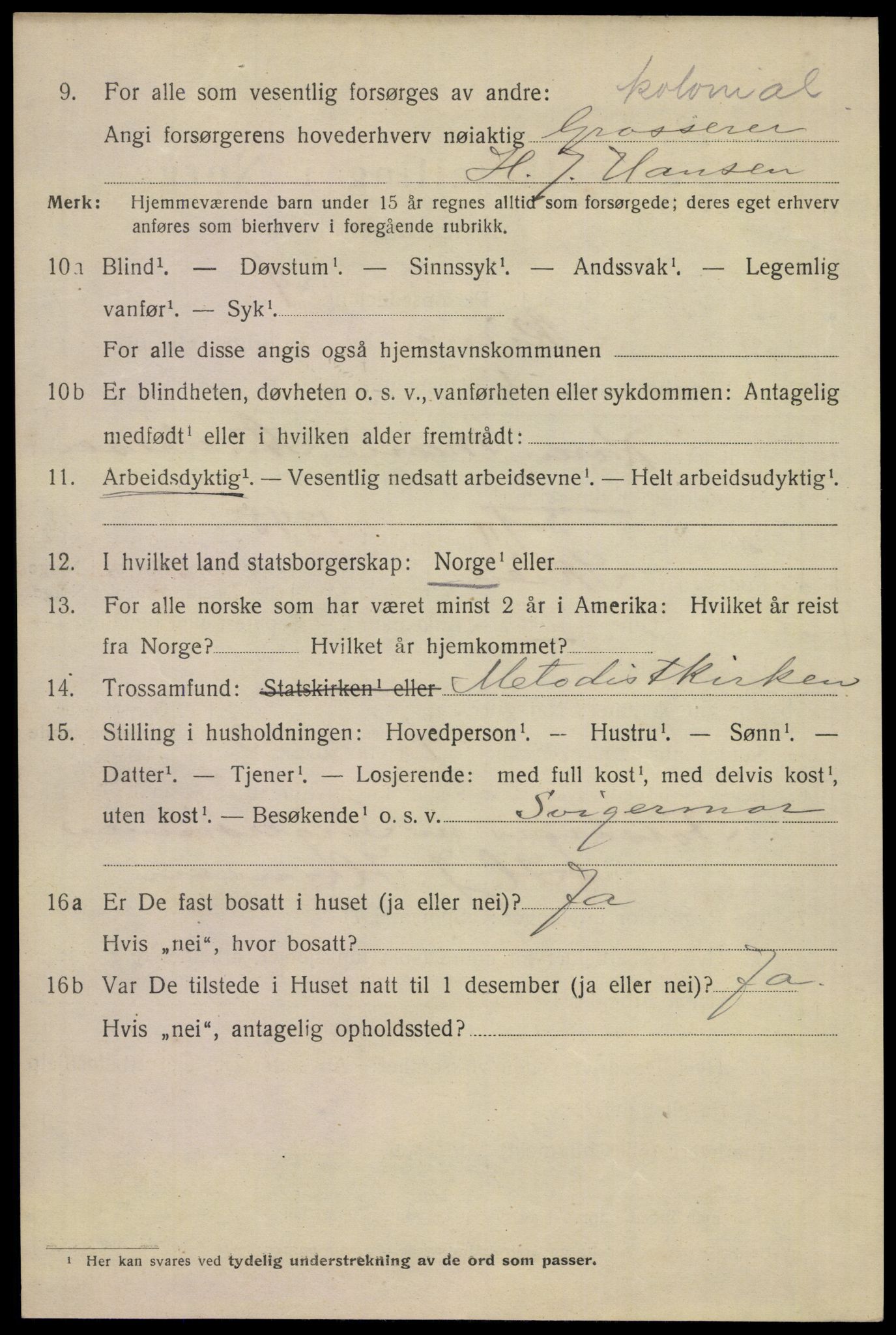 SAKO, 1920 census for Skien, 1920, p. 41023