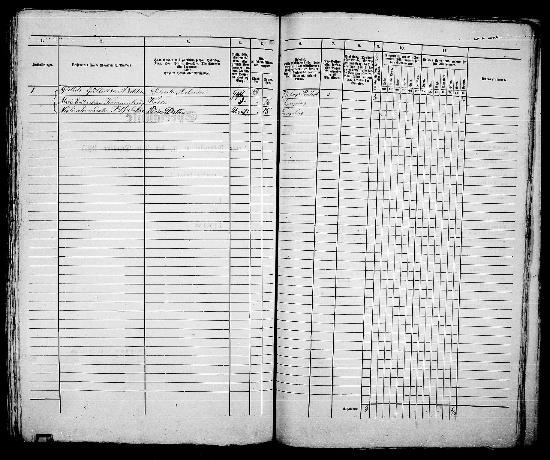 RA, 1865 census for Kongsberg/Kongsberg, 1865, p. 916