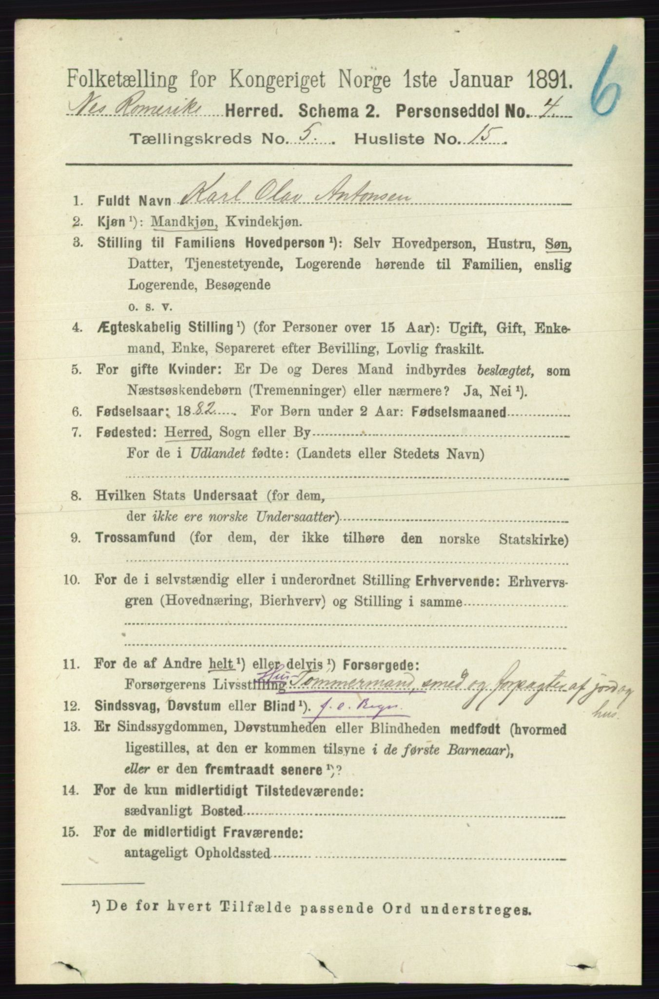 RA, 1891 census for 0236 Nes, 1891, p. 2874