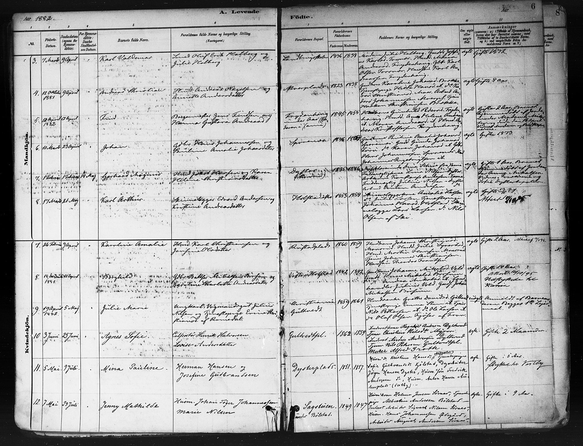 Ås prestekontor Kirkebøker, SAO/A-10894/F/Fa/L0009: Parish register (official) no. I 9, 1881-1900, p. 6