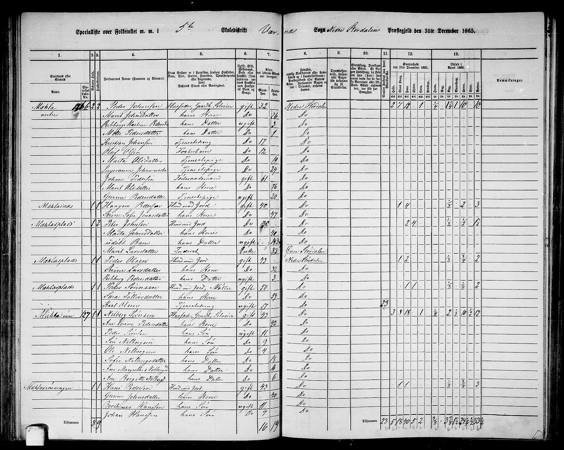 RA, 1865 census for Nedre Stjørdal, 1865, p. 101