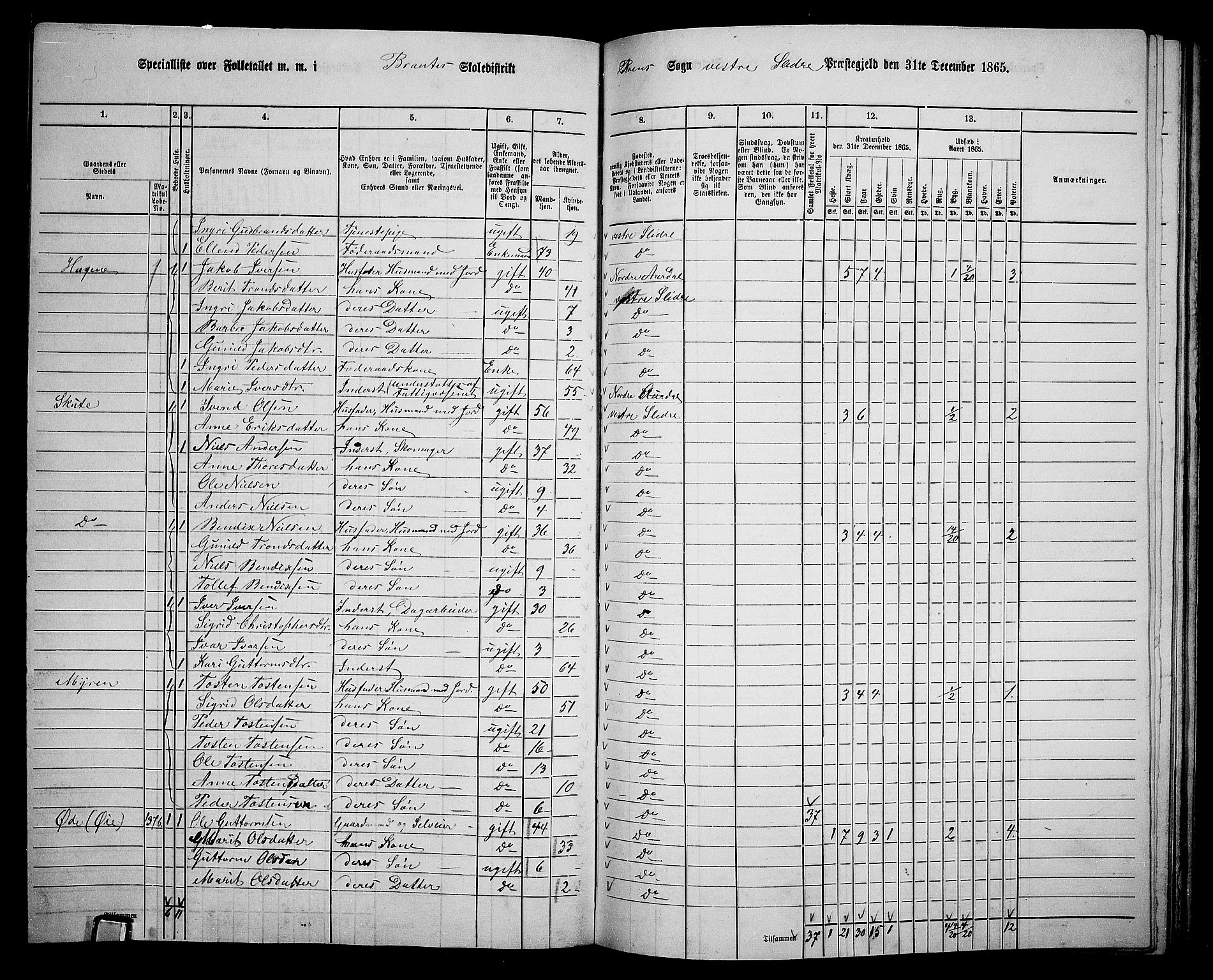 RA, 1865 census for Vestre Slidre, 1865, p. 109