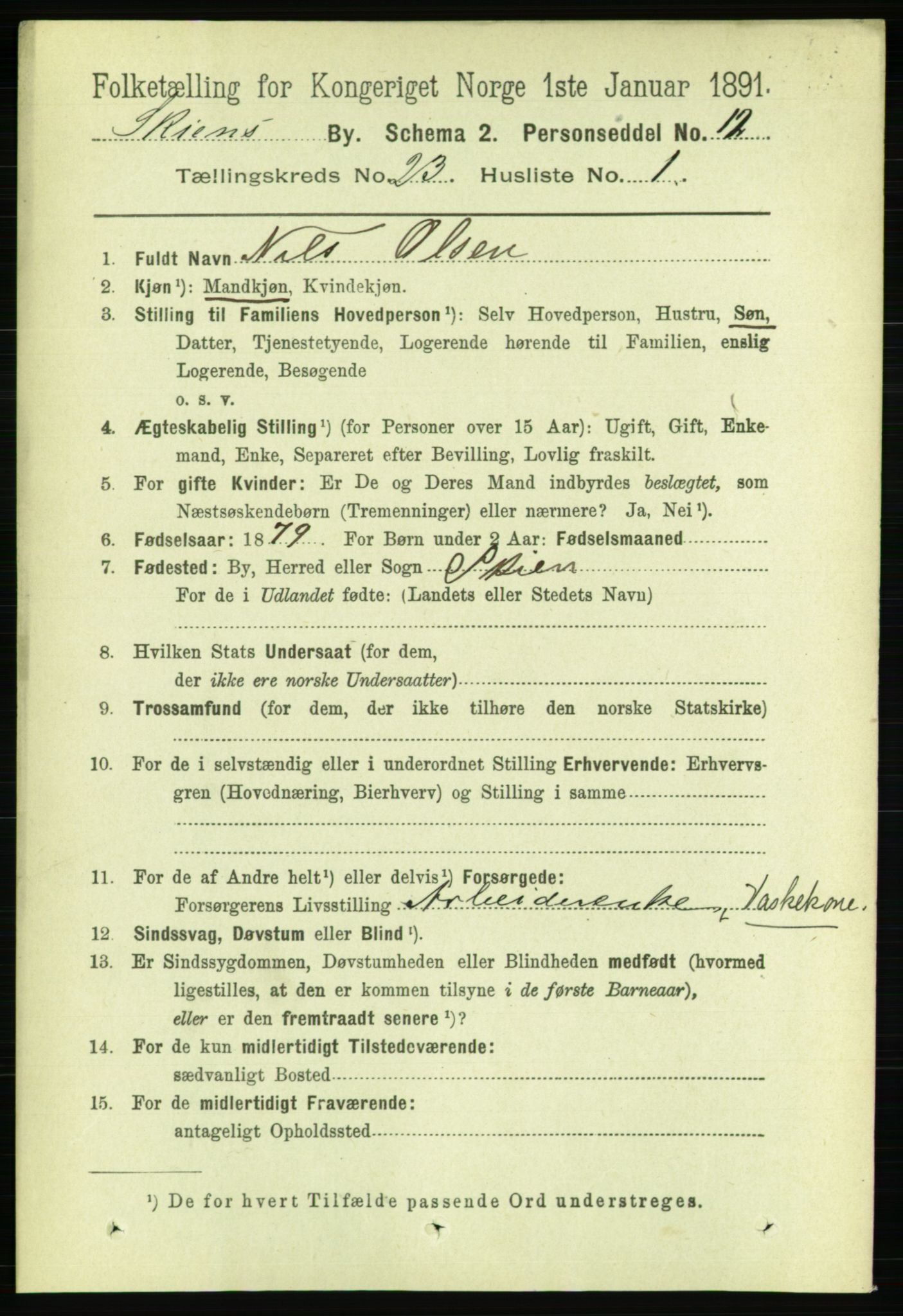 RA, 1891 census for 0806 Skien, 1891, p. 5826