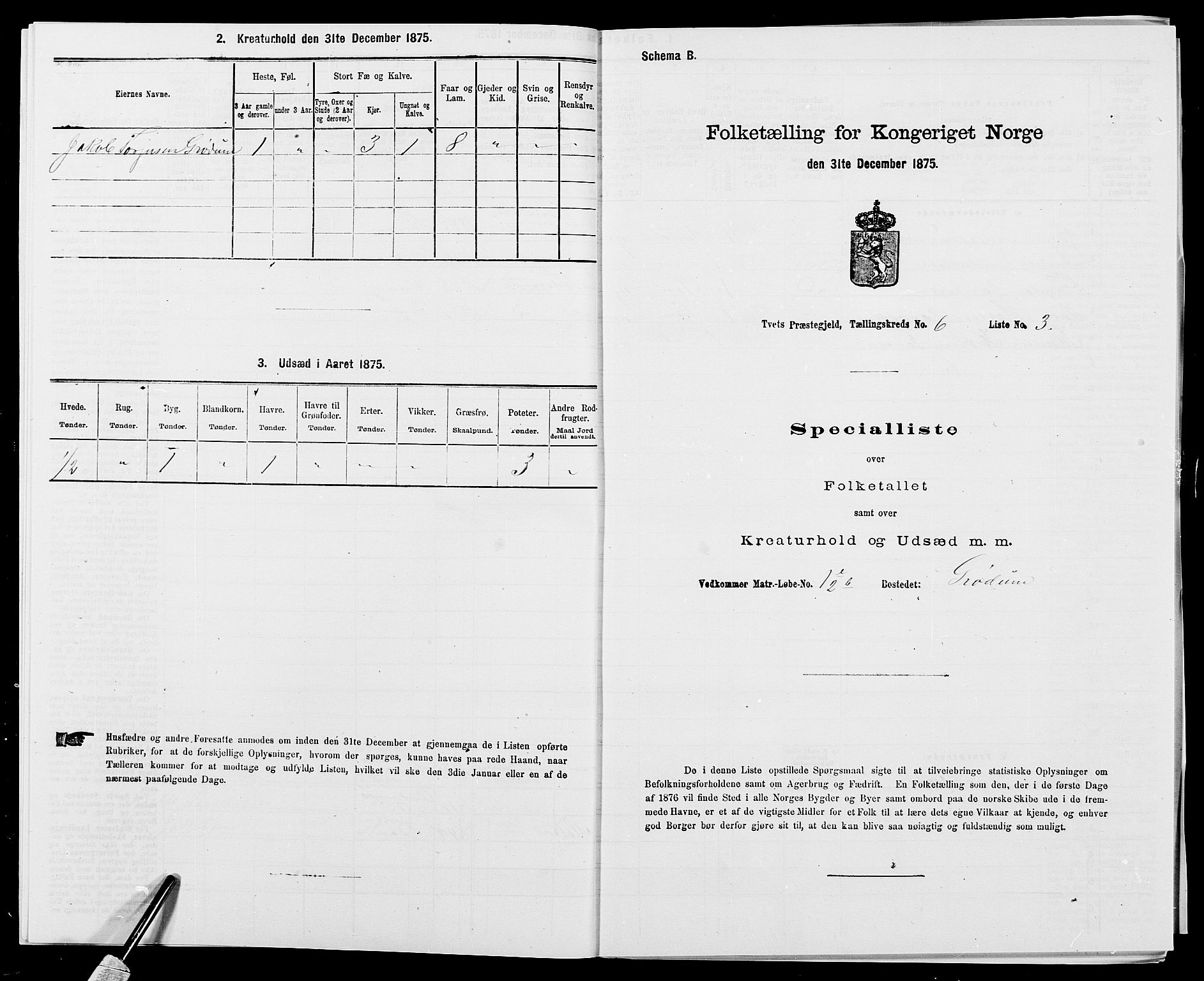 SAK, 1875 census for 1013P Tveit, 1875, p. 771