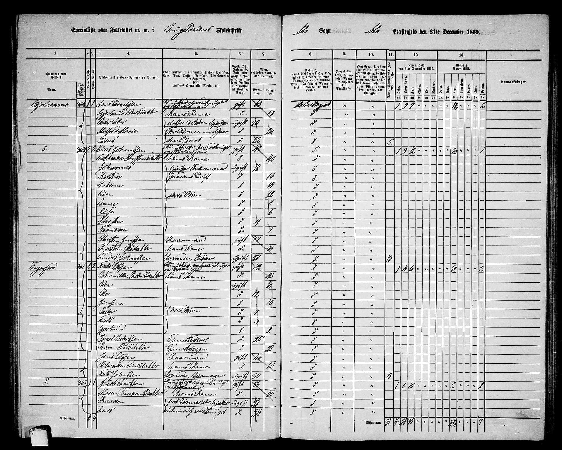 RA, 1865 census for Mo, 1865, p. 74