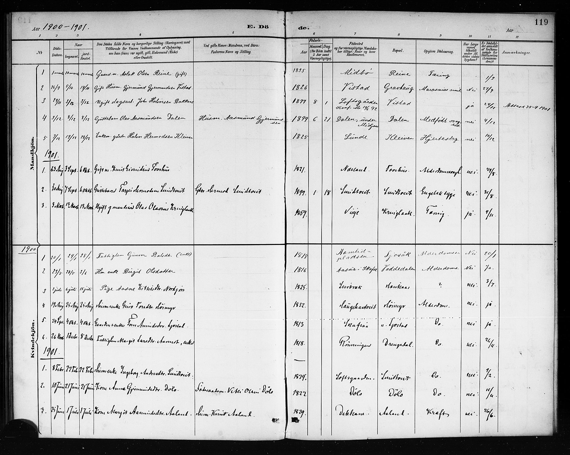 Mo kirkebøker, AV/SAKO-A-286/G/Ga/L0002: Parish register (copy) no. I 2, 1892-1914, p. 119