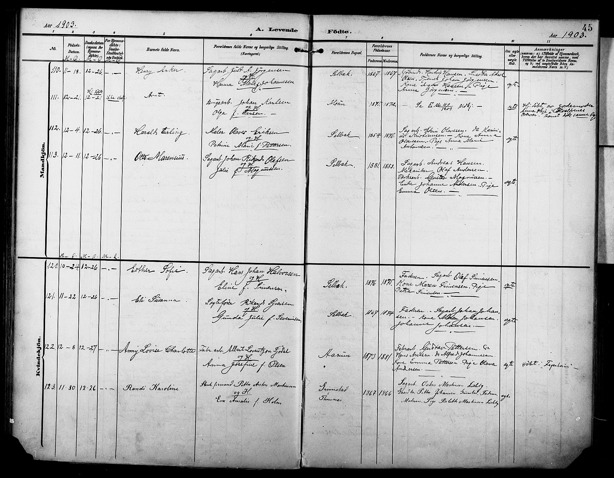 Borge prestekontor Kirkebøker, AV/SAO-A-10903/F/Fa/L0009: Parish register (official) no. I 9, 1902-1911, p. 45