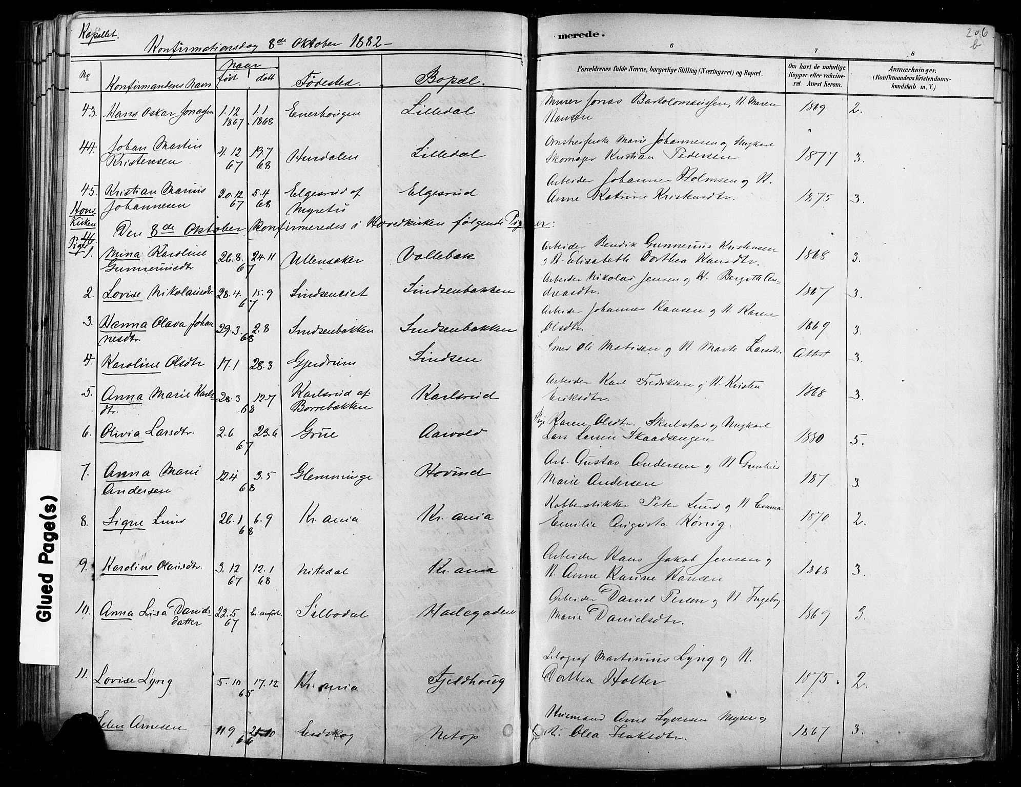 Østre Aker prestekontor Kirkebøker, AV/SAO-A-10840/F/Fa/L0006: Parish register (official) no. I 5, 1879-1882, p. 206b