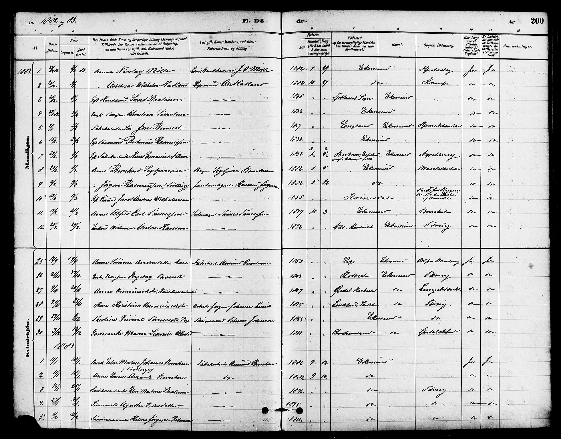 Eigersund sokneprestkontor, SAST/A-101807/S08/L0015: Parish register (official) no. A 15, 1879-1892, p. 200