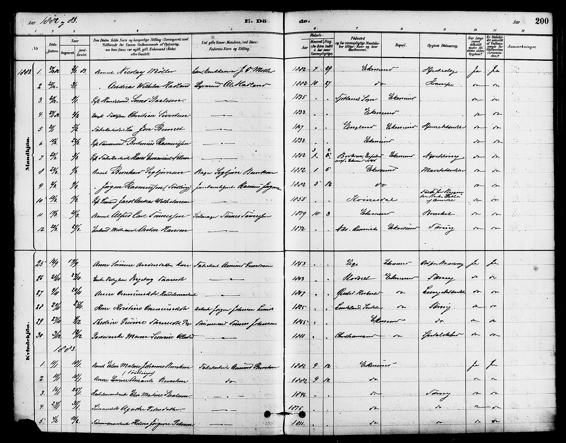 Eigersund sokneprestkontor, AV/SAST-A-101807/001/30/30BA/L0015: Parish register (official) no. A 15, 1879-1892, p. 200