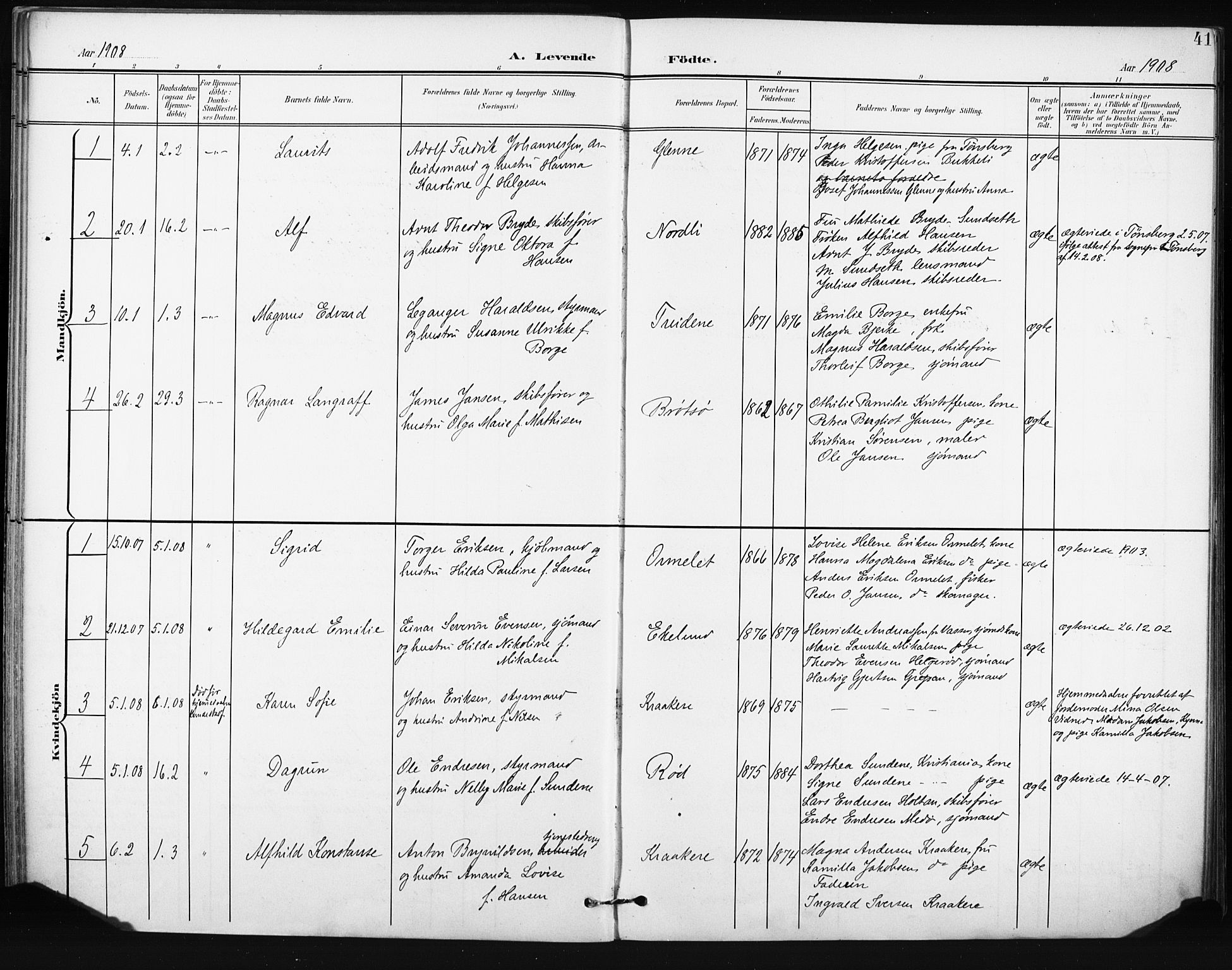 Tjøme kirkebøker, AV/SAKO-A-328/F/Fa/L0005: Parish register (official) no. I 5, 1901-1909, p. 41