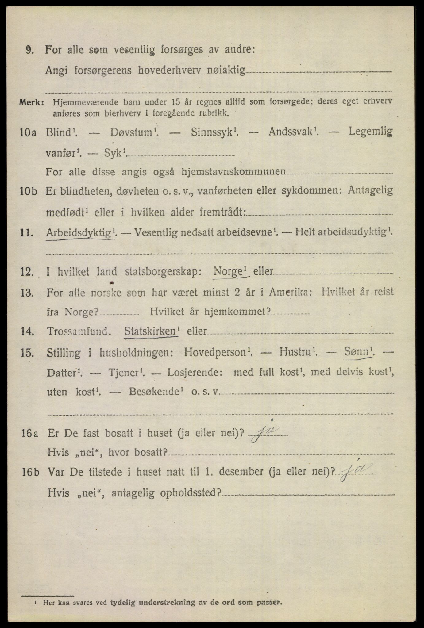 SAKO, 1920 census for Hol (Buskerud), 1920, p. 4934