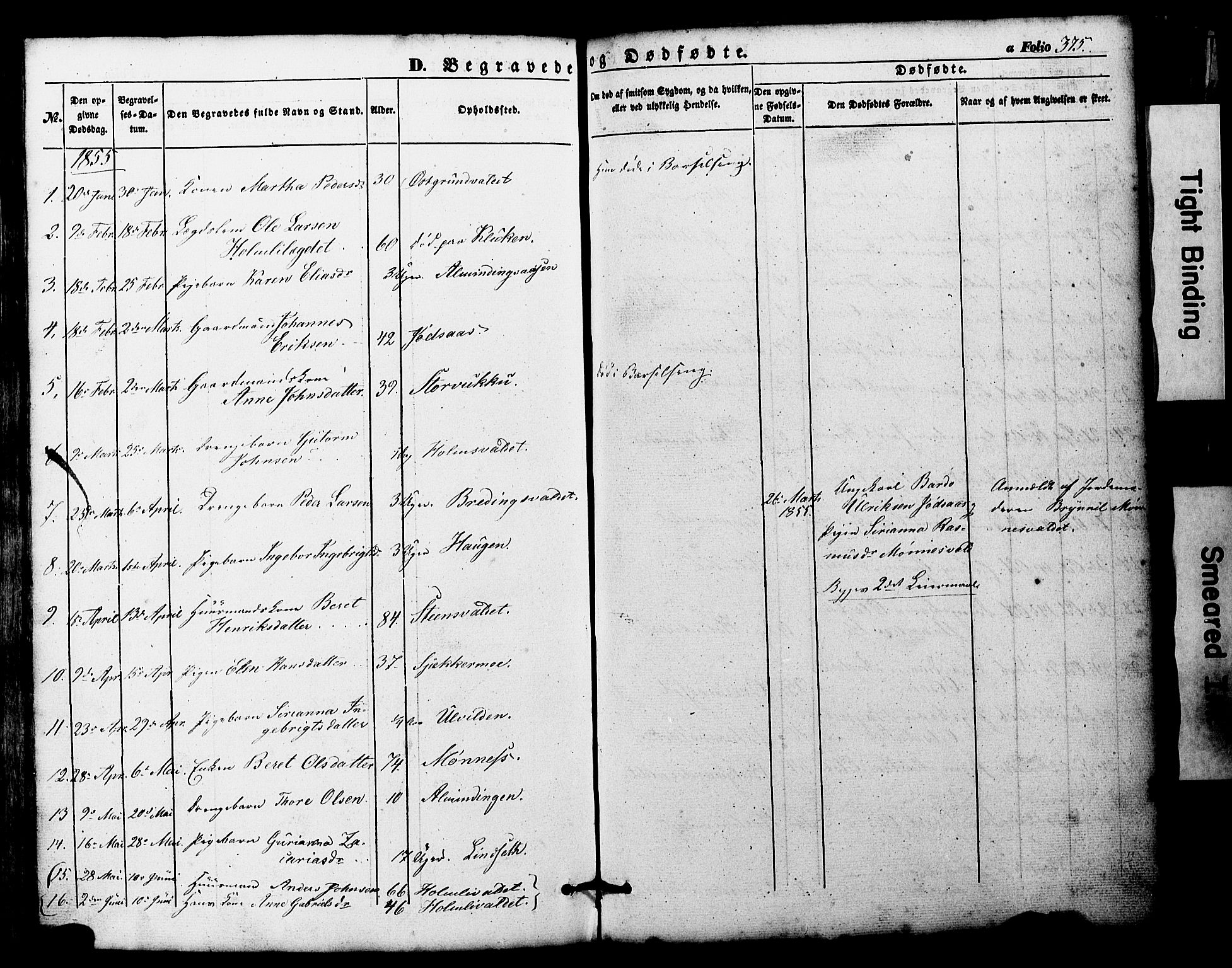 Ministerialprotokoller, klokkerbøker og fødselsregistre - Nord-Trøndelag, SAT/A-1458/724/L0268: Parish register (copy) no. 724C04, 1846-1878, p. 375