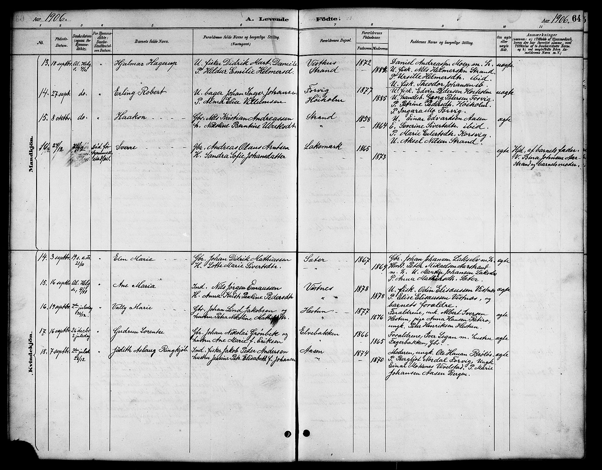 Ministerialprotokoller, klokkerbøker og fødselsregistre - Nordland, SAT/A-1459/819/L0277: Parish register (copy) no. 819C03, 1888-1917, p. 64