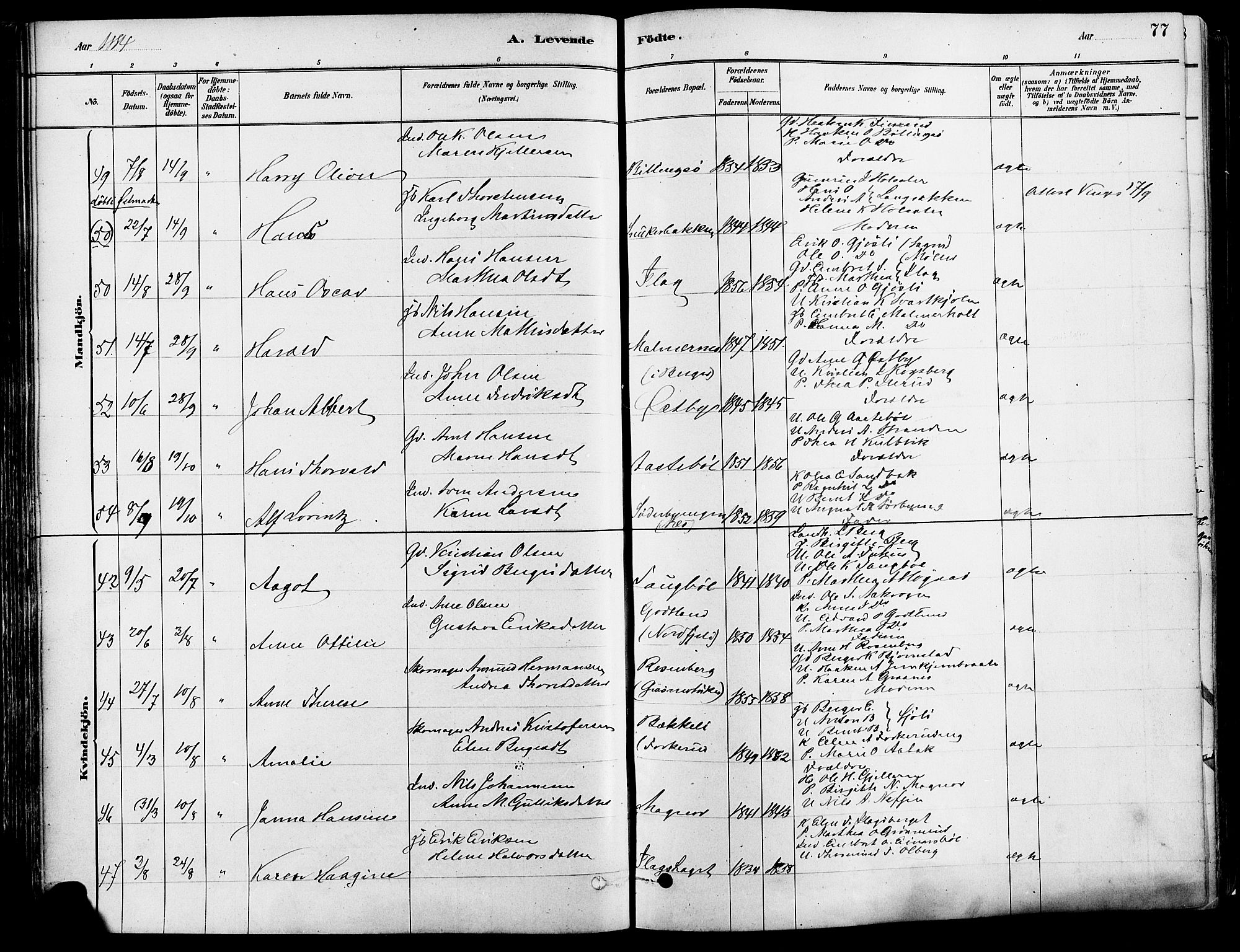 Eidskog prestekontor, SAH/PREST-026/H/Ha/Haa/L0003: Parish register (official) no. 3, 1879-1892, p. 77