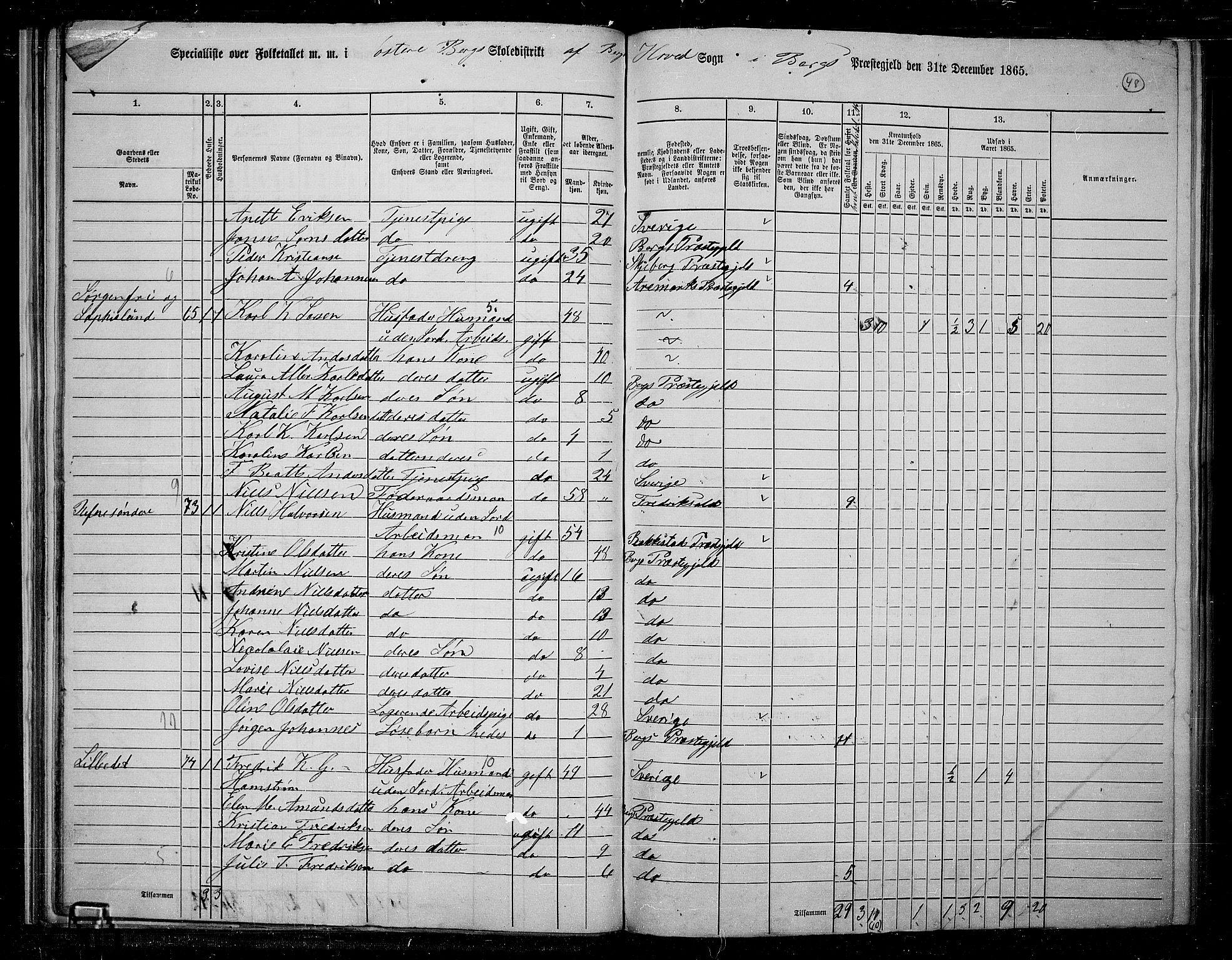 RA, 1865 census for Berg, 1865, p. 45