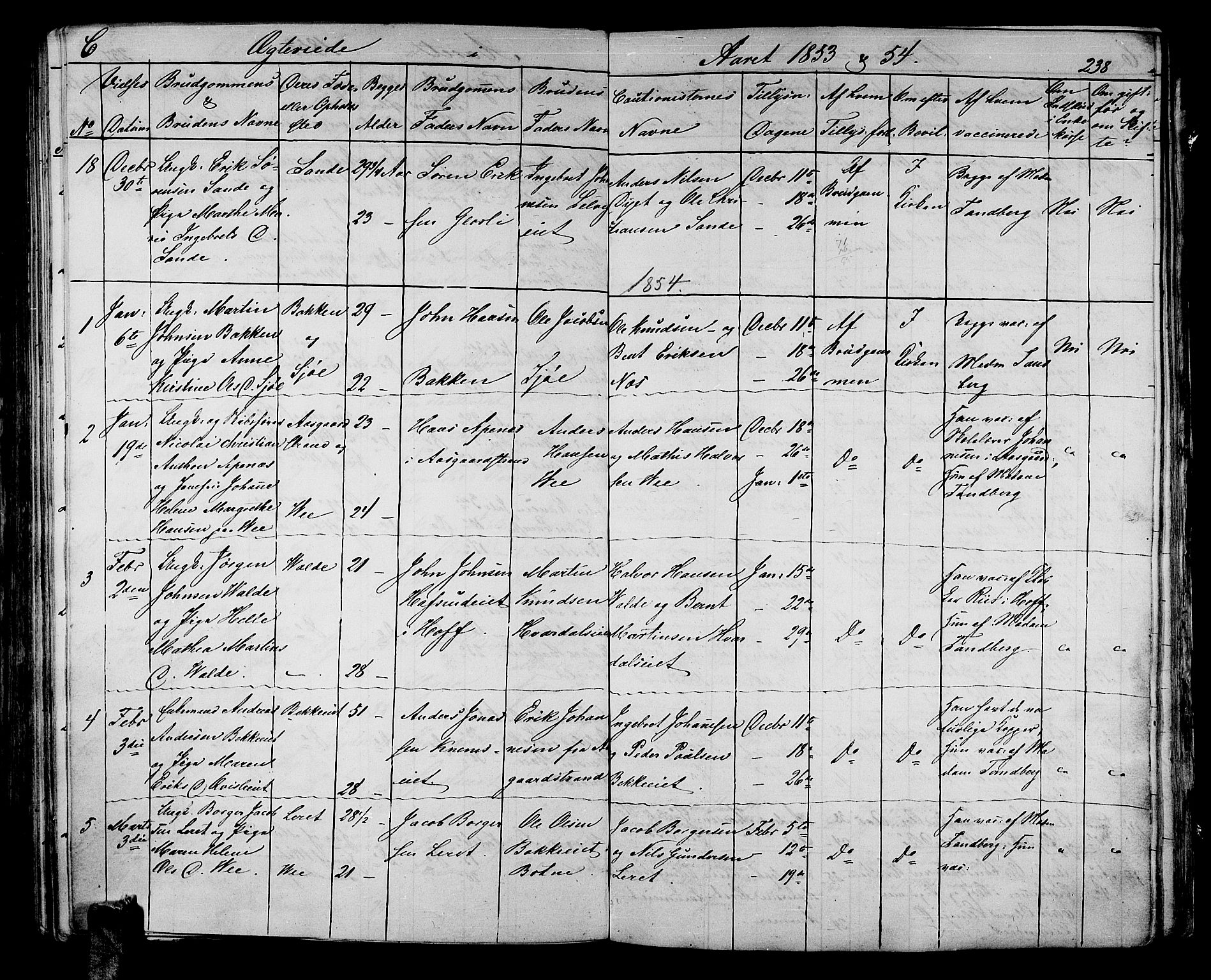 Sande Kirkebøker, AV/SAKO-A-53/G/Ga/L0002: Parish register (copy) no. 2, 1847-1863, p. 238