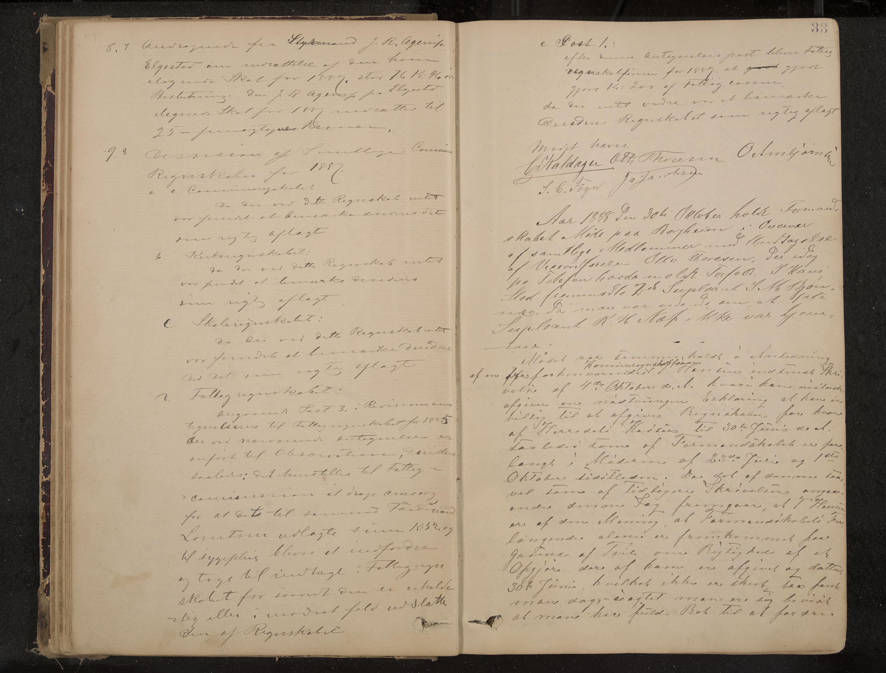 Nøtterøy formannskap og sentraladministrasjon, IKAK/0722021-1/A/Aa/L0004: Møtebok, 1887-1896, p. 33