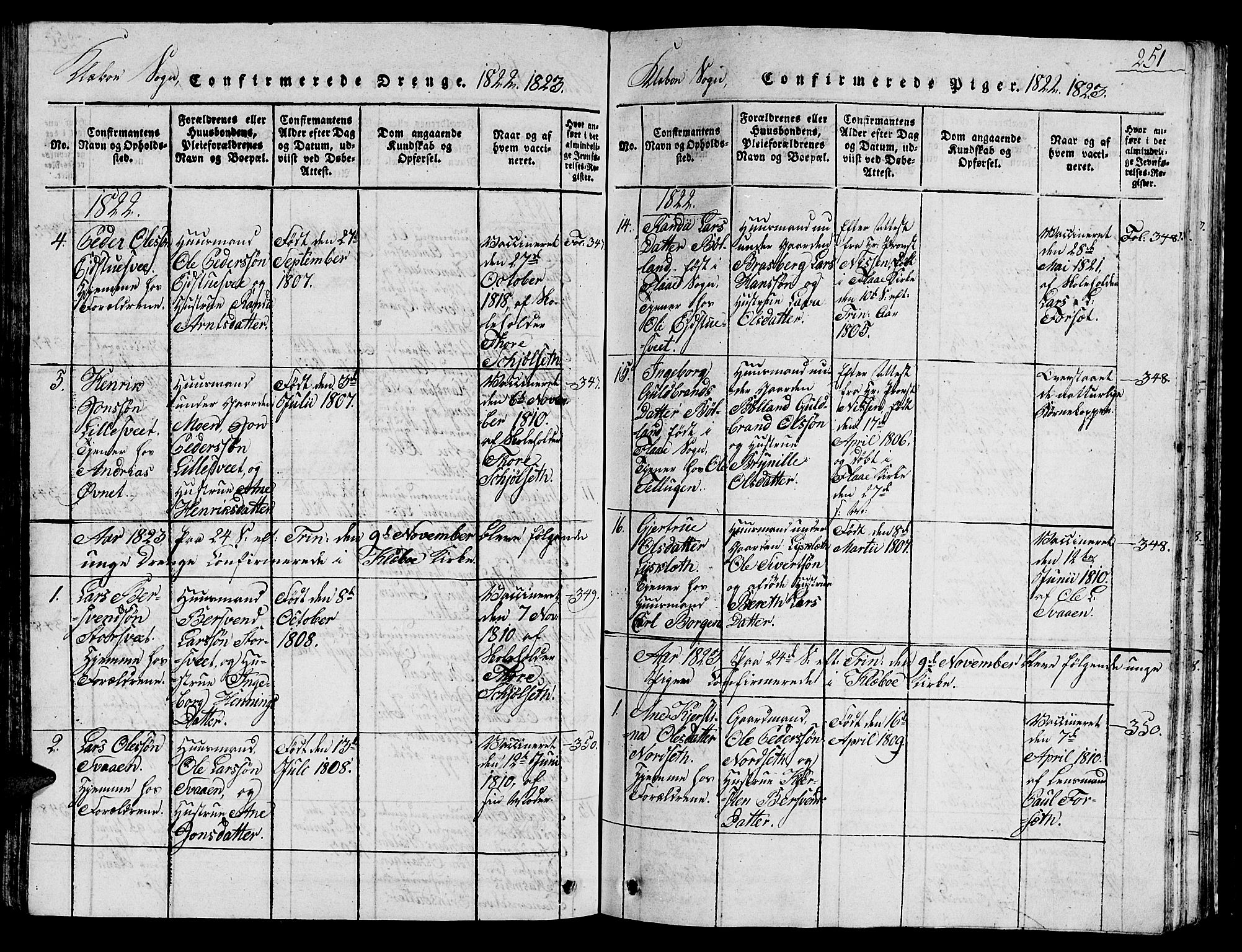 Ministerialprotokoller, klokkerbøker og fødselsregistre - Sør-Trøndelag, SAT/A-1456/618/L0450: Parish register (copy) no. 618C01, 1816-1865, p. 251