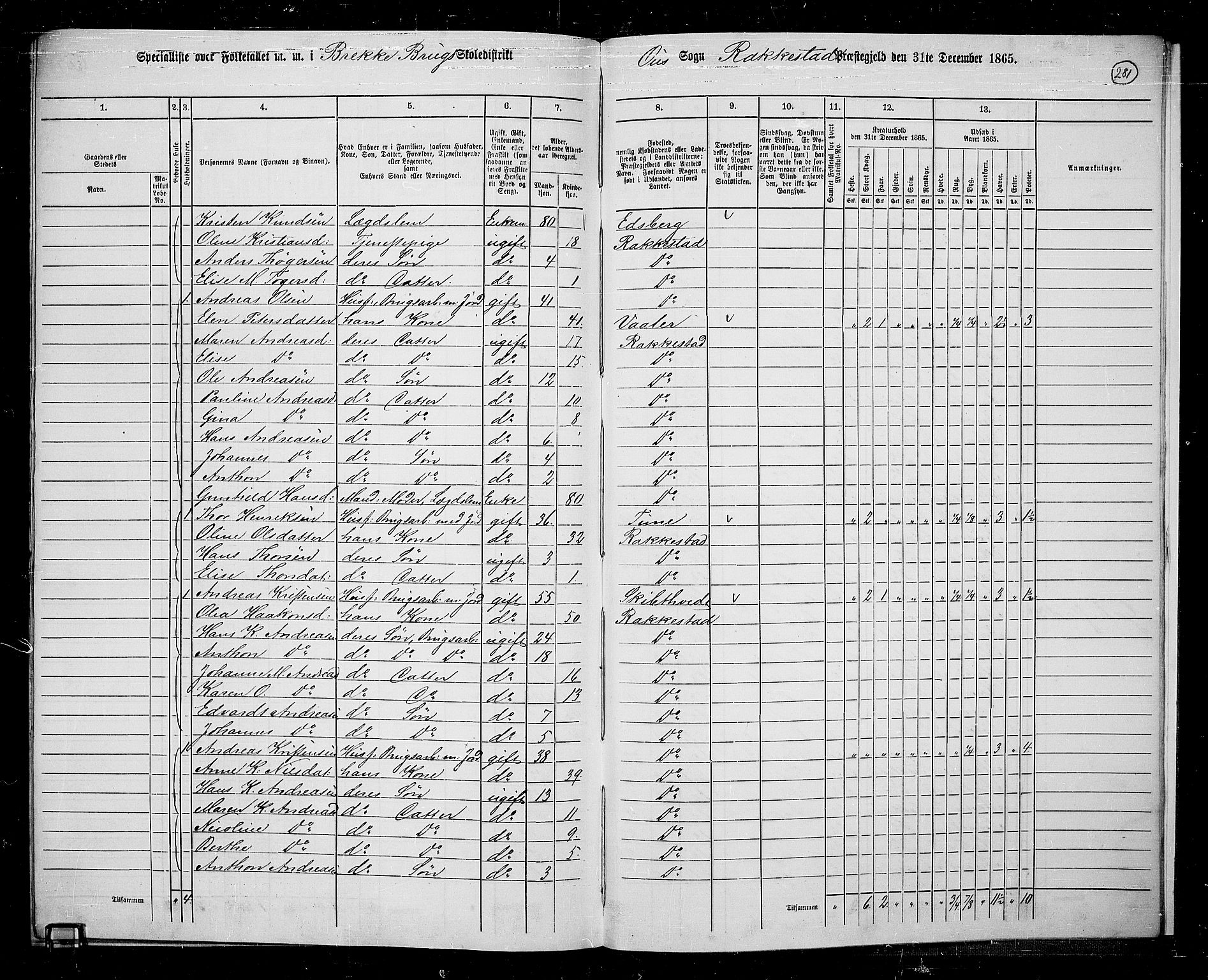 RA, 1865 census for Rakkestad, 1865, p. 268