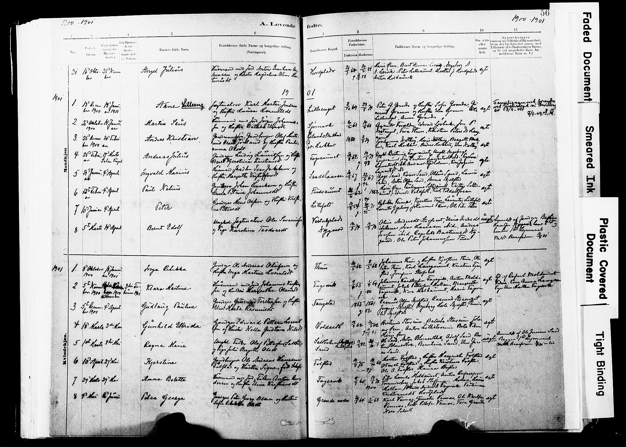 Ministerialprotokoller, klokkerbøker og fødselsregistre - Nord-Trøndelag, SAT/A-1458/744/L0420: Parish register (official) no. 744A04, 1882-1904, p. 56