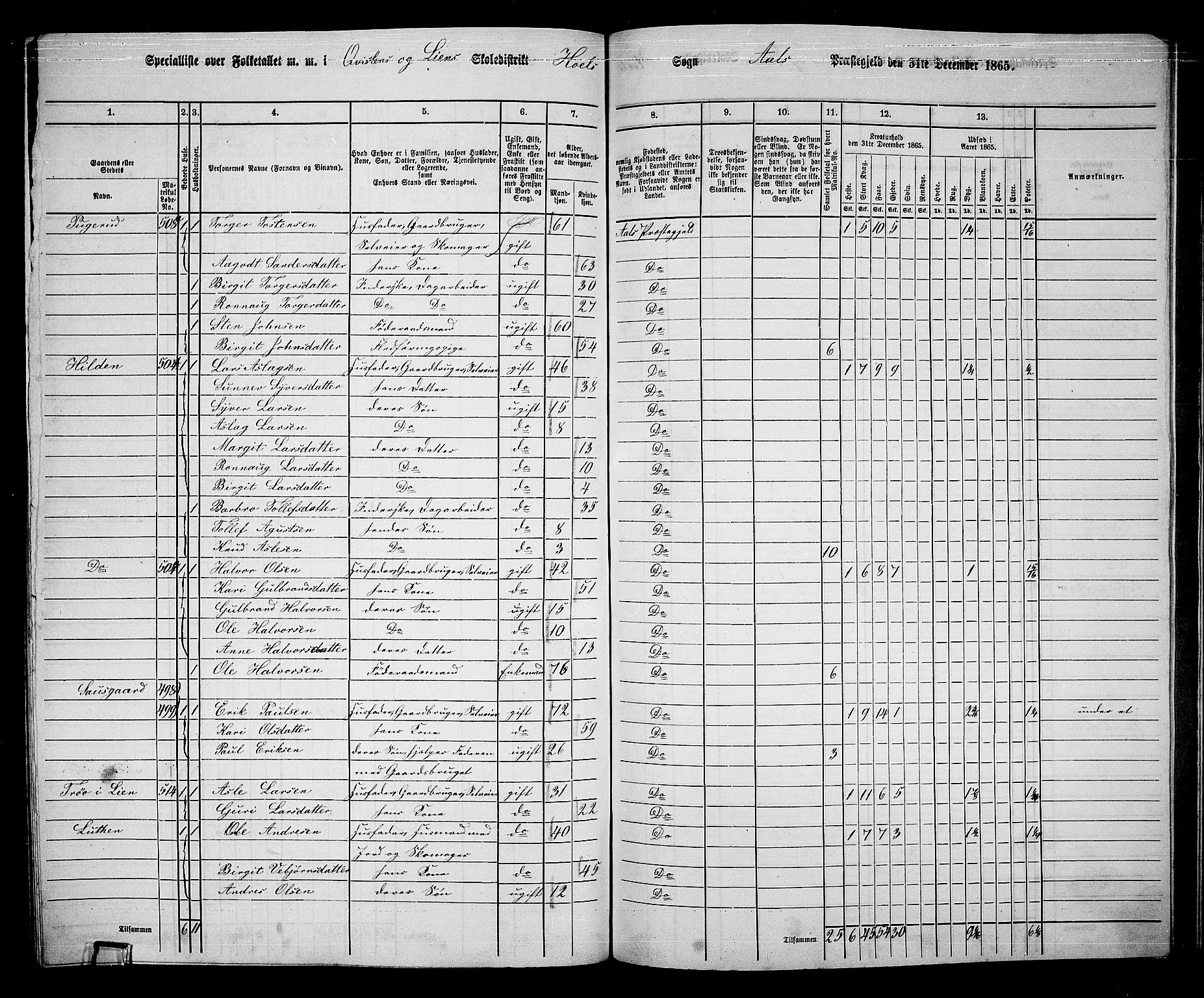 RA, 1865 census for Ål, 1865, p. 240