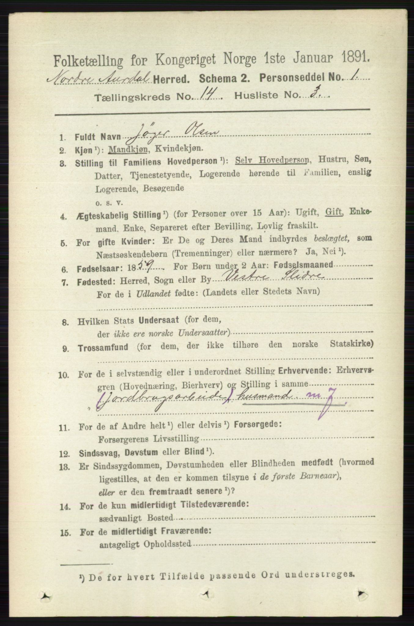 RA, 1891 census for 0542 Nord-Aurdal, 1891, p. 5223