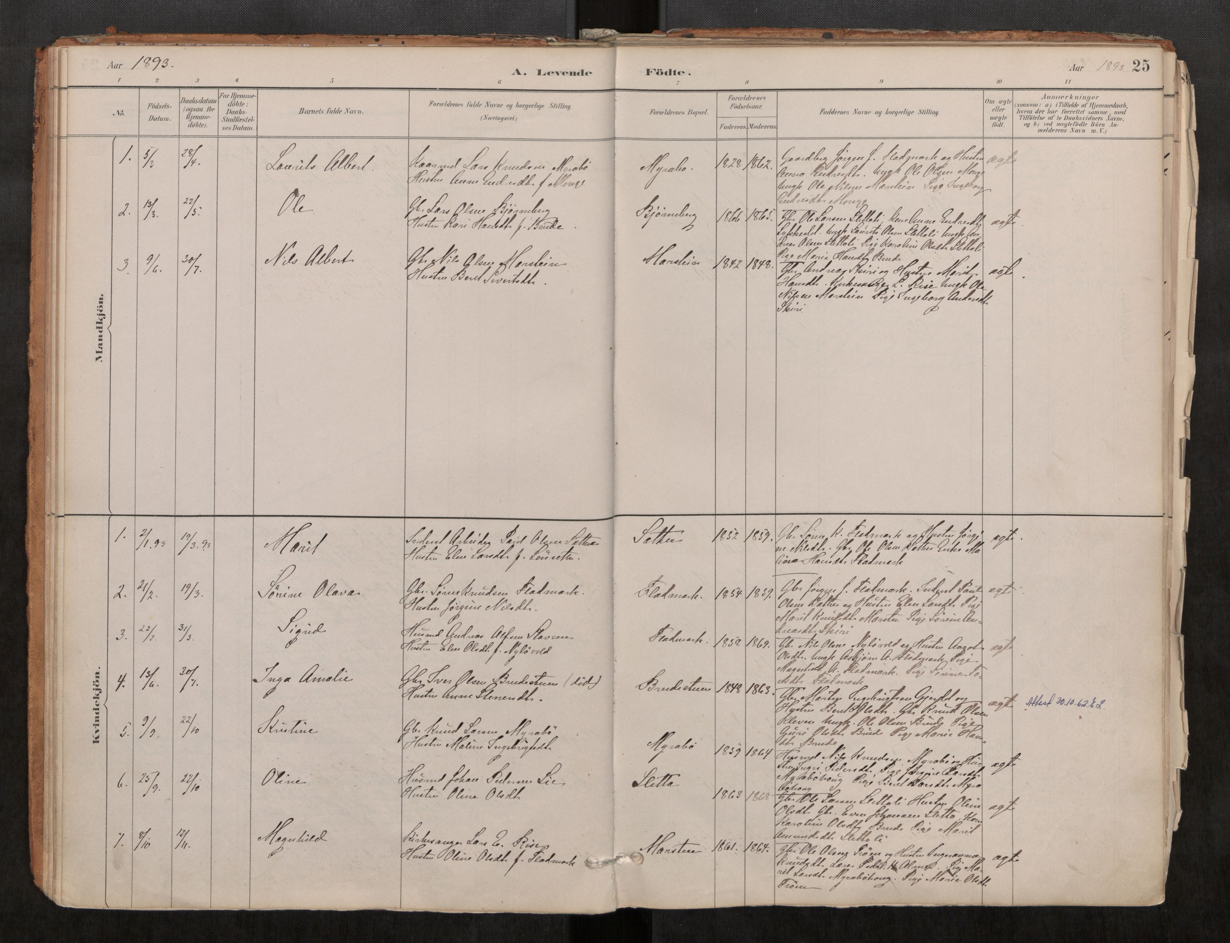 Ministerialprotokoller, klokkerbøker og fødselsregistre - Møre og Romsdal, SAT/A-1454/546/L0599: Parish register (official) no. 546A03, 1882-1920, p. 25
