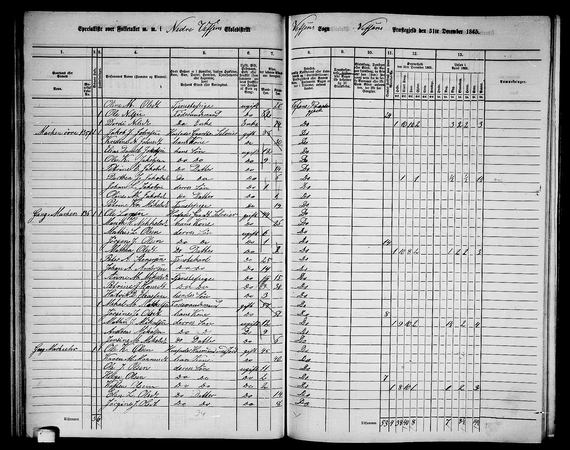 RA, 1865 census for Vefsn, 1865, p. 80