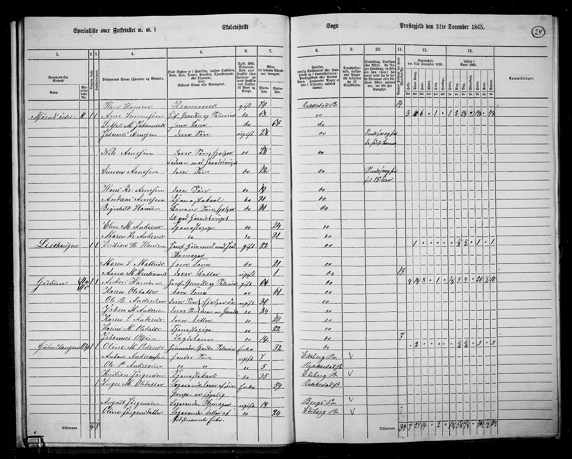 RA, 1865 census for Rakkestad, 1865, p. 25