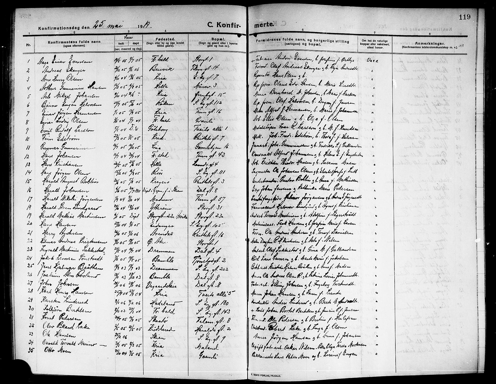 Rjukan kirkebøker, SAKO/A-294/G/Ga/L0002: Parish register (copy) no. 2, 1913-1920, p. 119