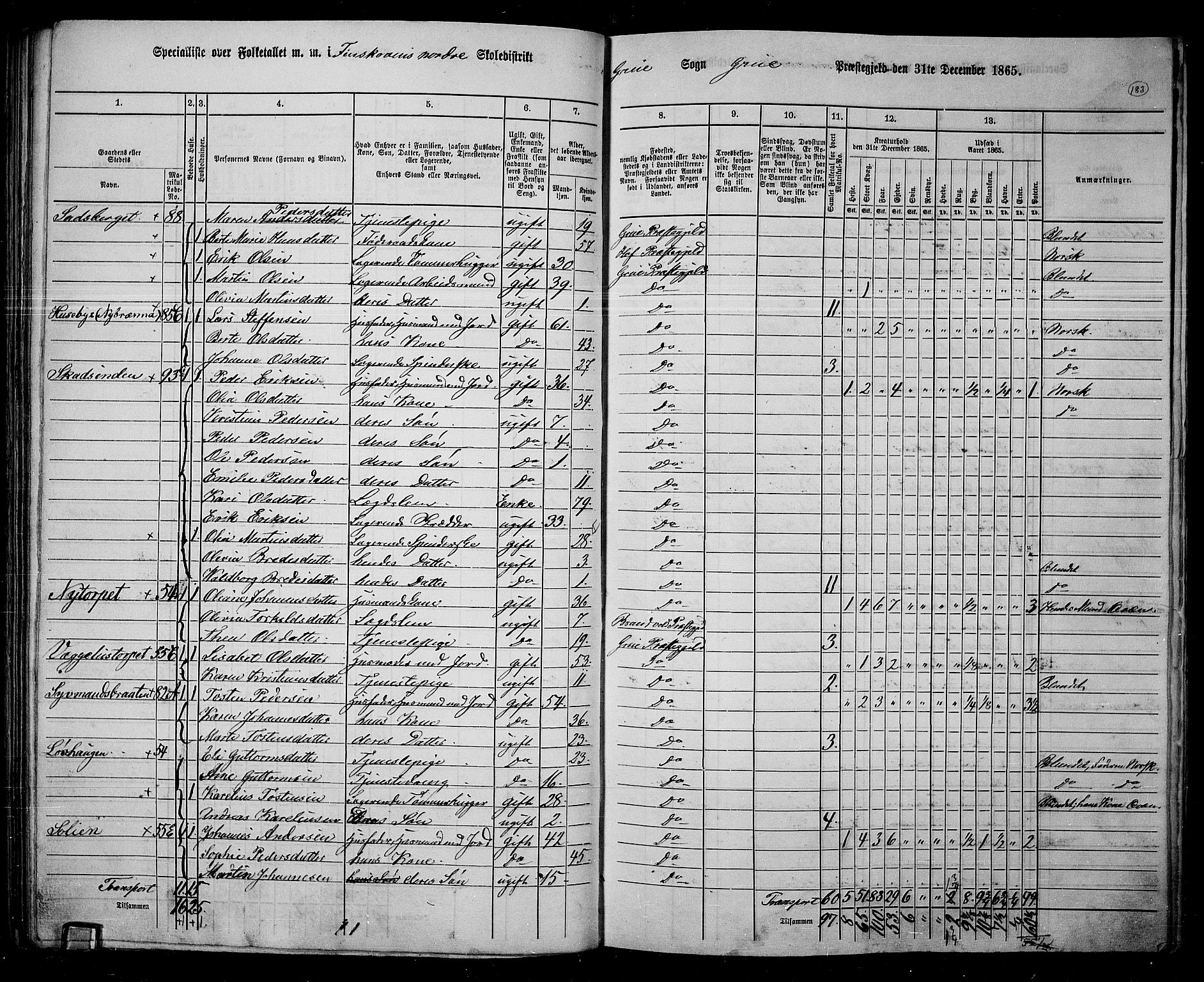 RA, 1865 census for Grue, 1865, p. 159