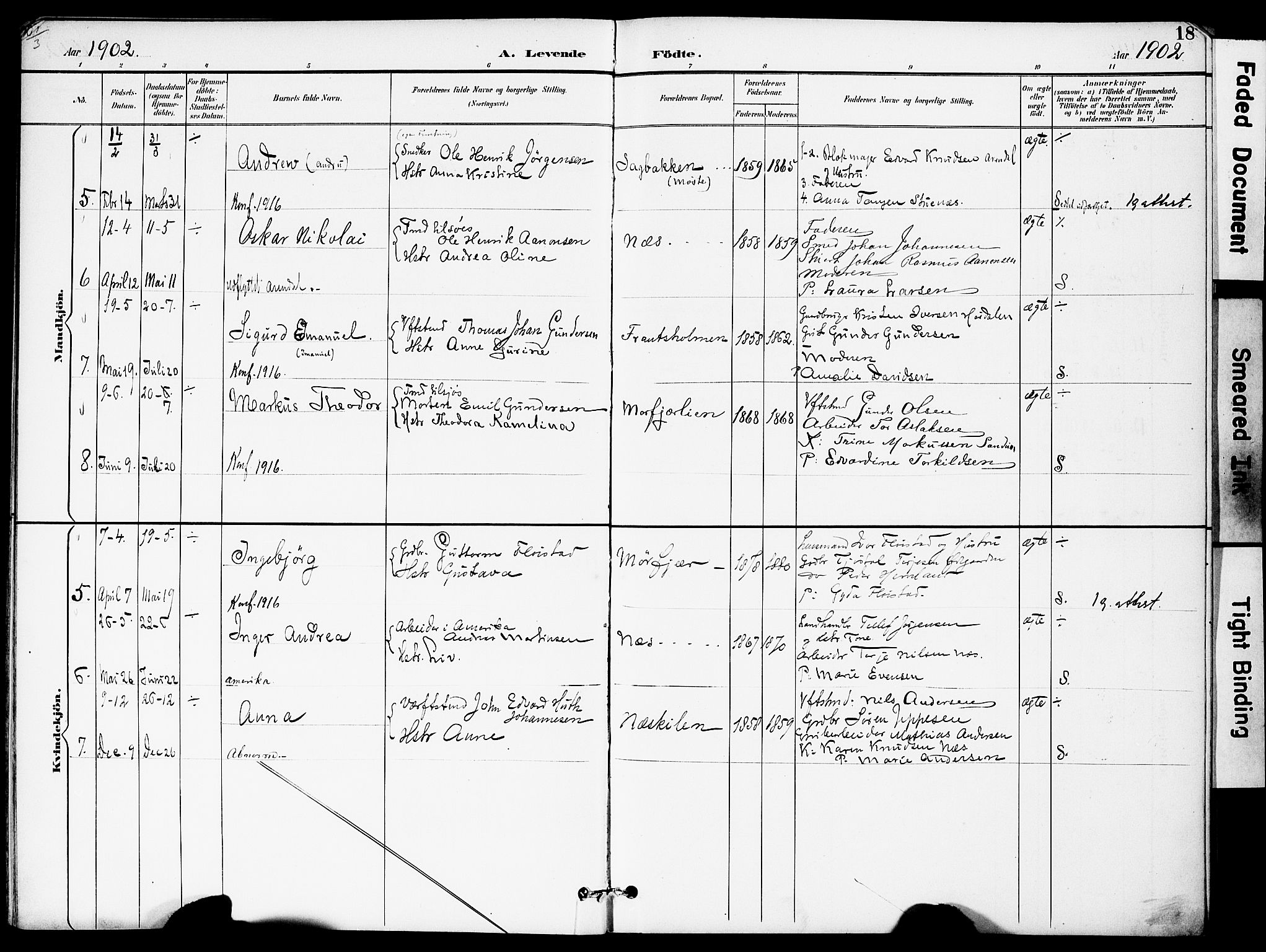 Austre Moland sokneprestkontor, AV/SAK-1111-0001/F/Fa/Fab/L0002: Parish register (official) no. A 2, 1894-1919, p. 18