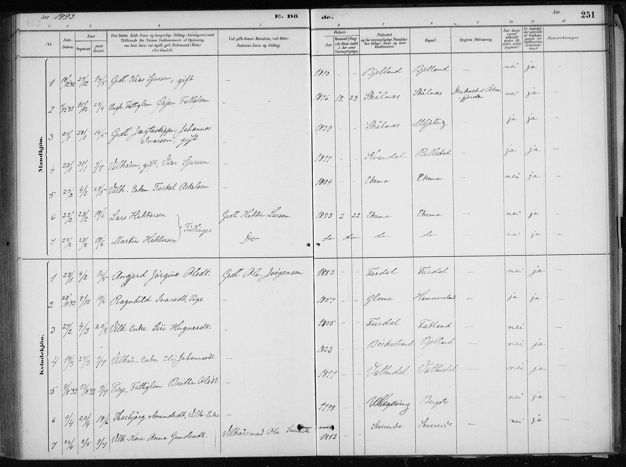 Skånevik sokneprestembete, SAB/A-77801/H/Haa: Parish register (official) no. E  1, 1879-1901, p. 251