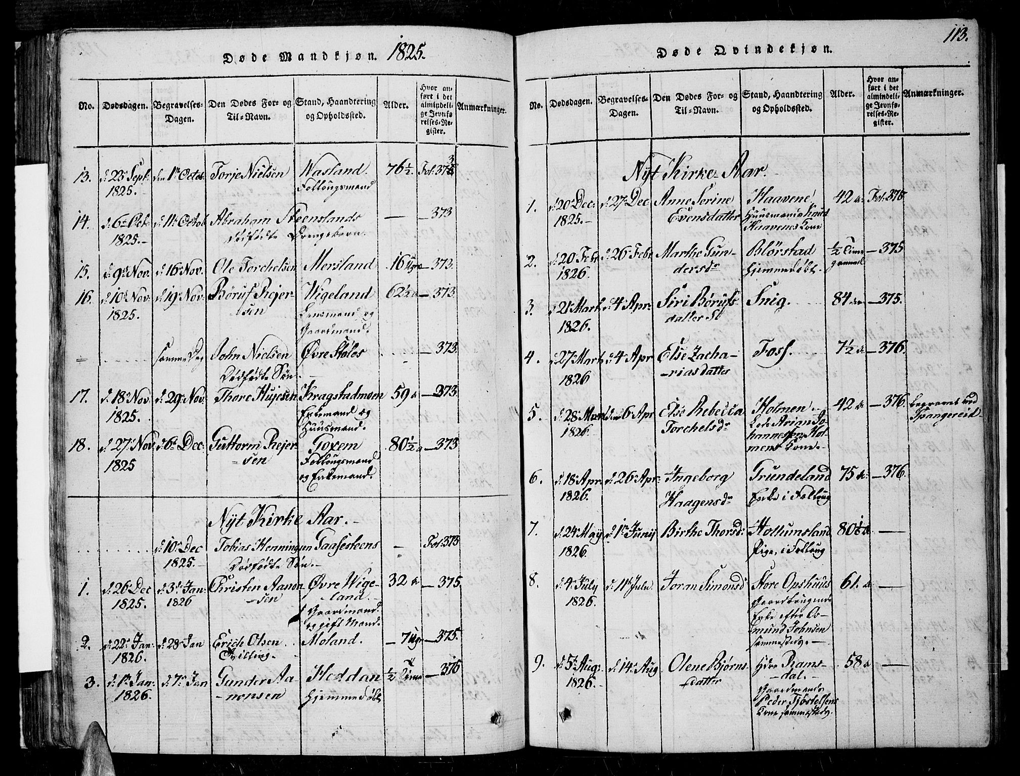 Sør-Audnedal sokneprestkontor, SAK/1111-0039/F/Fa/Fab/L0005: Parish register (official) no. A 5, 1816-1830, p. 113