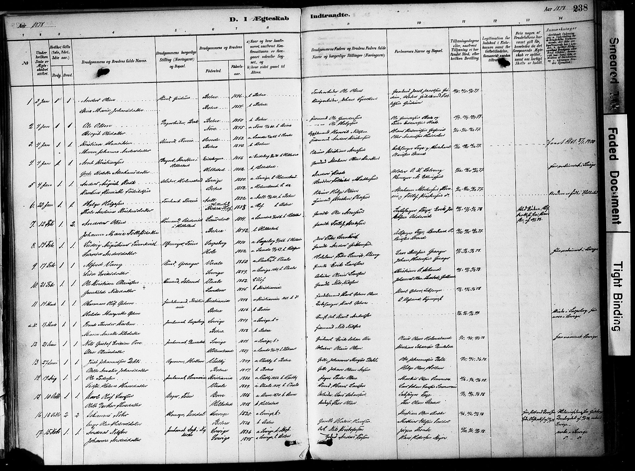 Botne kirkebøker, AV/SAKO-A-340/F/Fa/L0007: Parish register (official) no. I 7, 1878-1910, p. 238