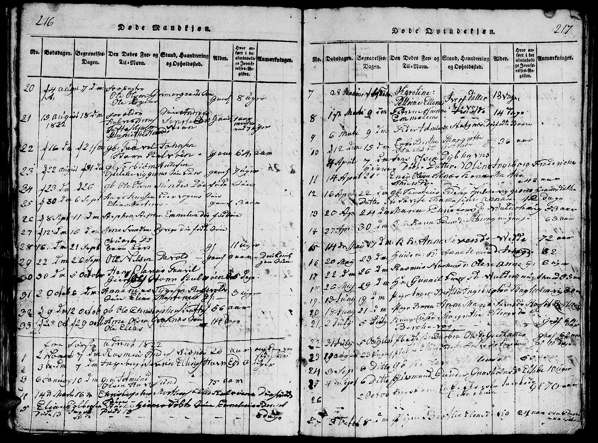 Ministerialprotokoller, klokkerbøker og fødselsregistre - Møre og Romsdal, AV/SAT-A-1454/528/L0423: Parish register (copy) no. 528C04, 1816-1827, p. 216-217