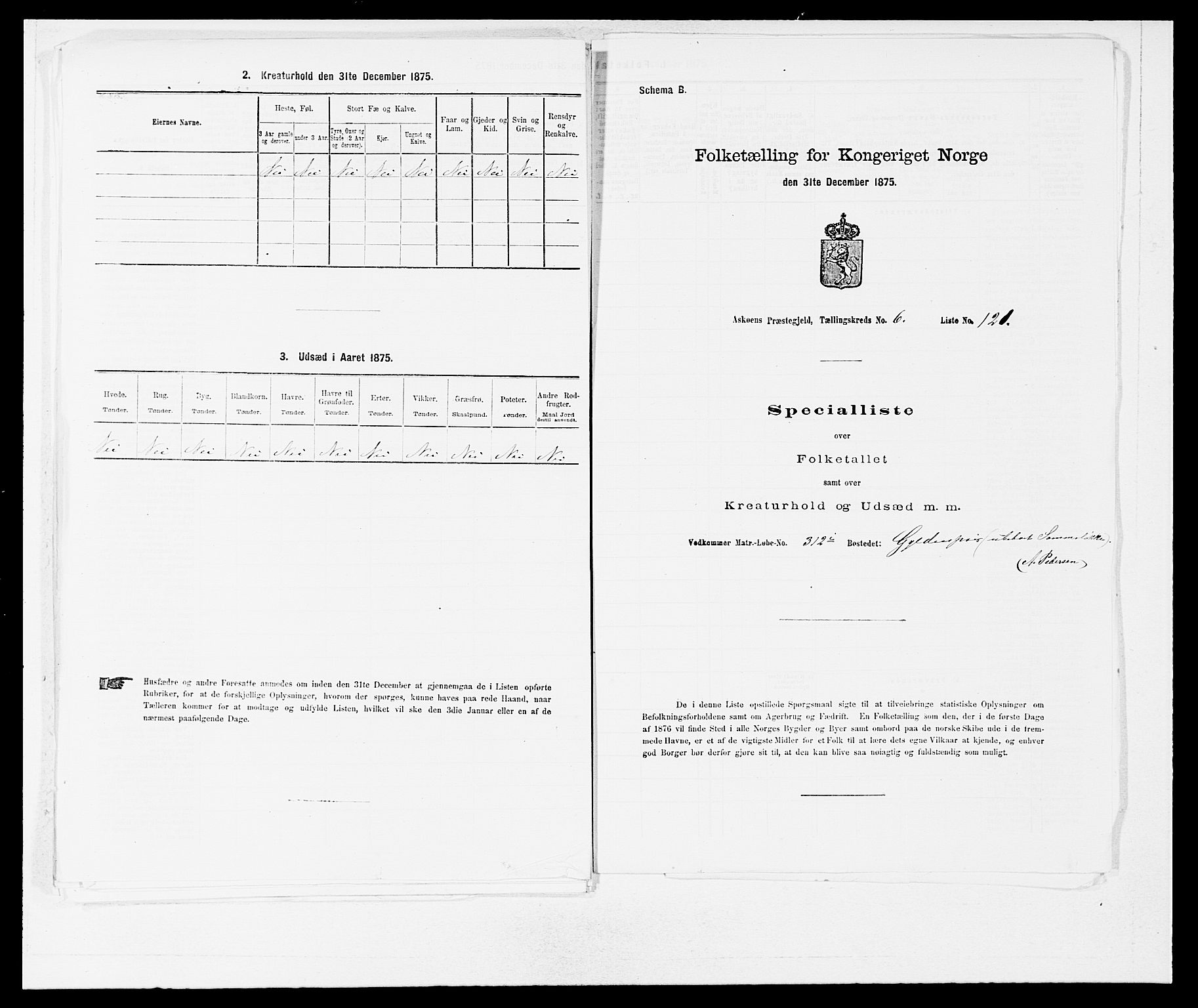 SAB, 1875 census for 1247P Askøy, 1875, p. 1052