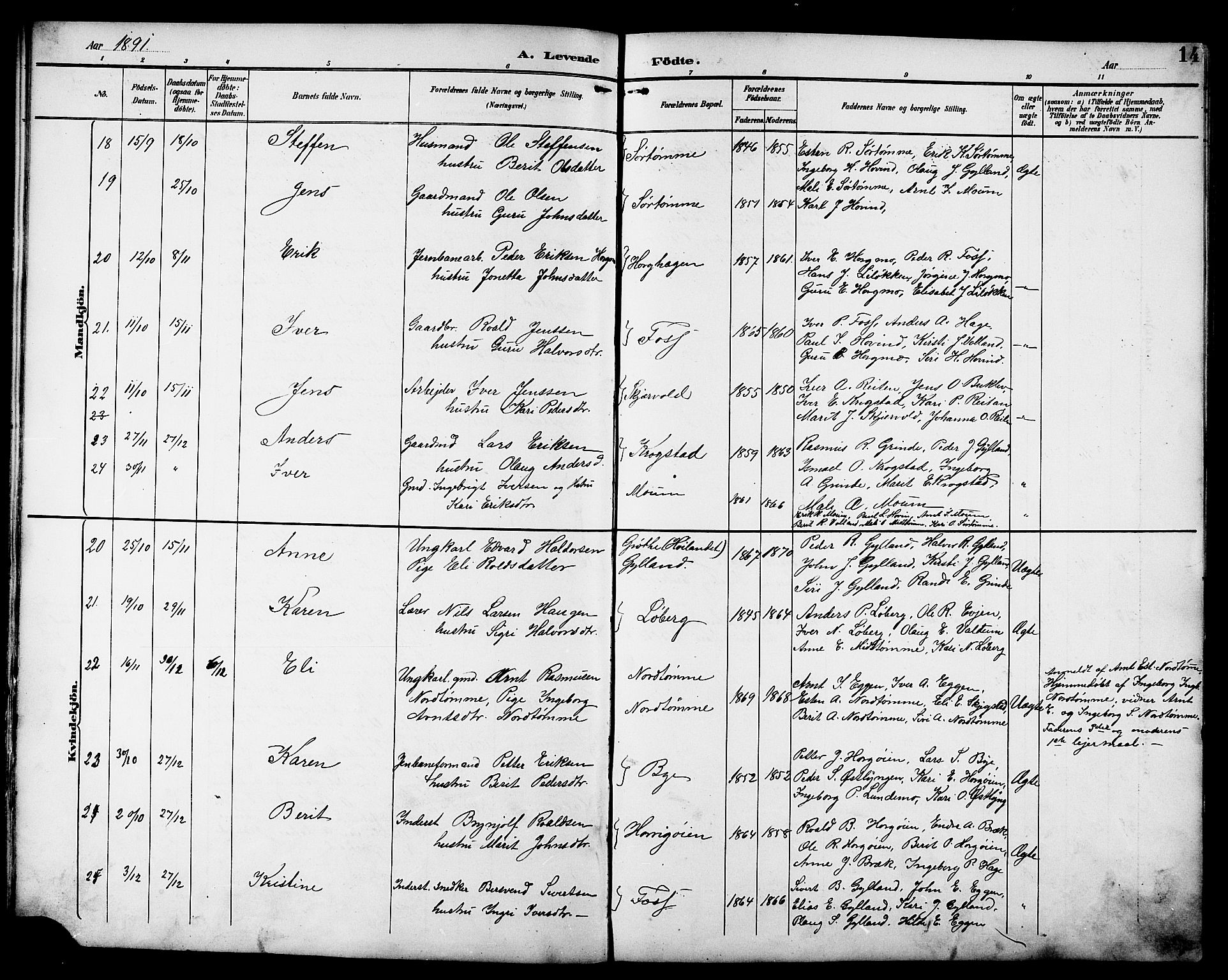 Ministerialprotokoller, klokkerbøker og fødselsregistre - Sør-Trøndelag, SAT/A-1456/692/L1111: Parish register (copy) no. 692C06, 1890-1904, p. 14