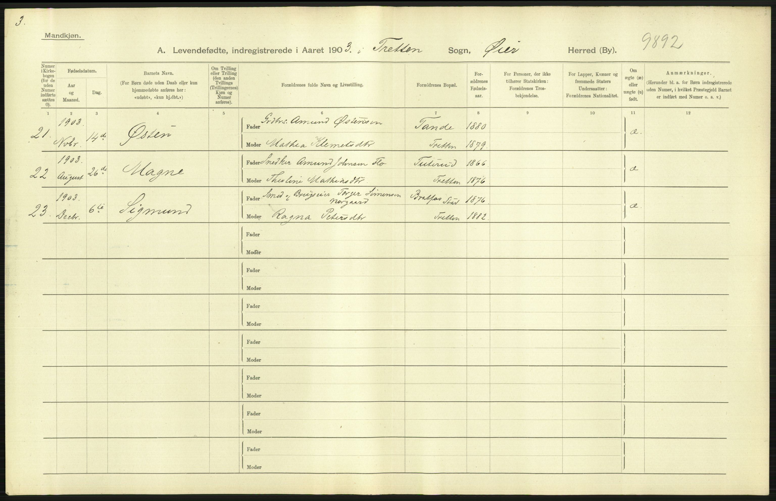Statistisk sentralbyrå, Sosiodemografiske emner, Befolkning, AV/RA-S-2228/D/Df/Dfa/Dfaa/L0006: Kristians amt: Fødte, gifte, døde, 1903, p. 87