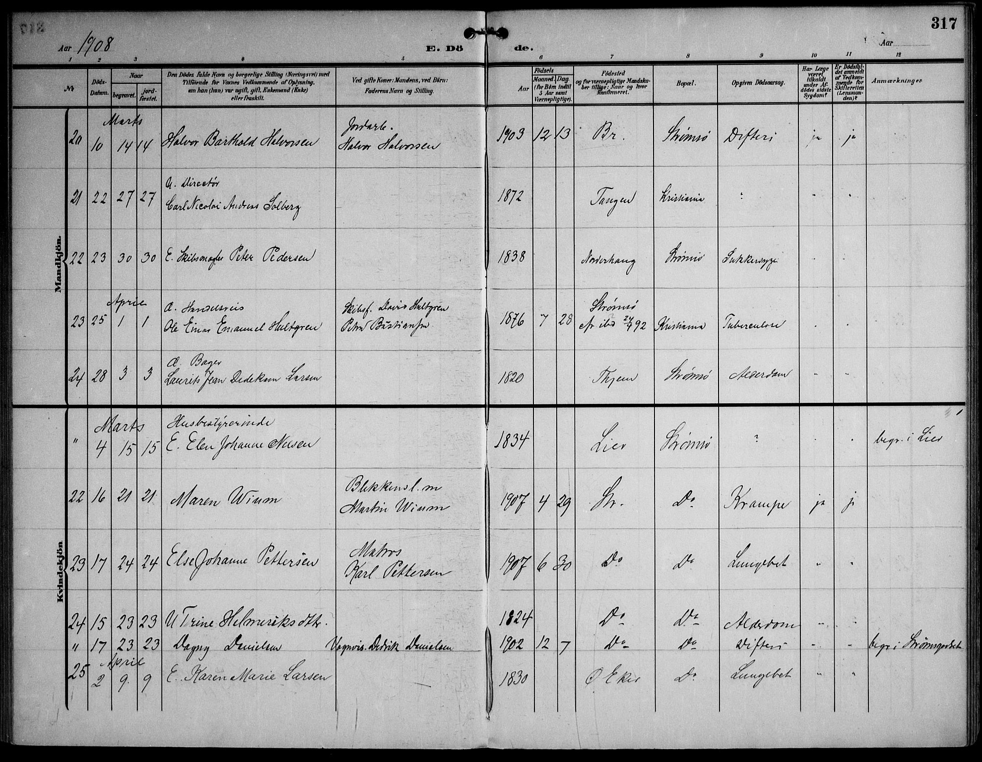 Strømsø kirkebøker, AV/SAKO-A-246/F/Fa/L0026: Parish register (official) no. I 26, 1905-1914, p. 317