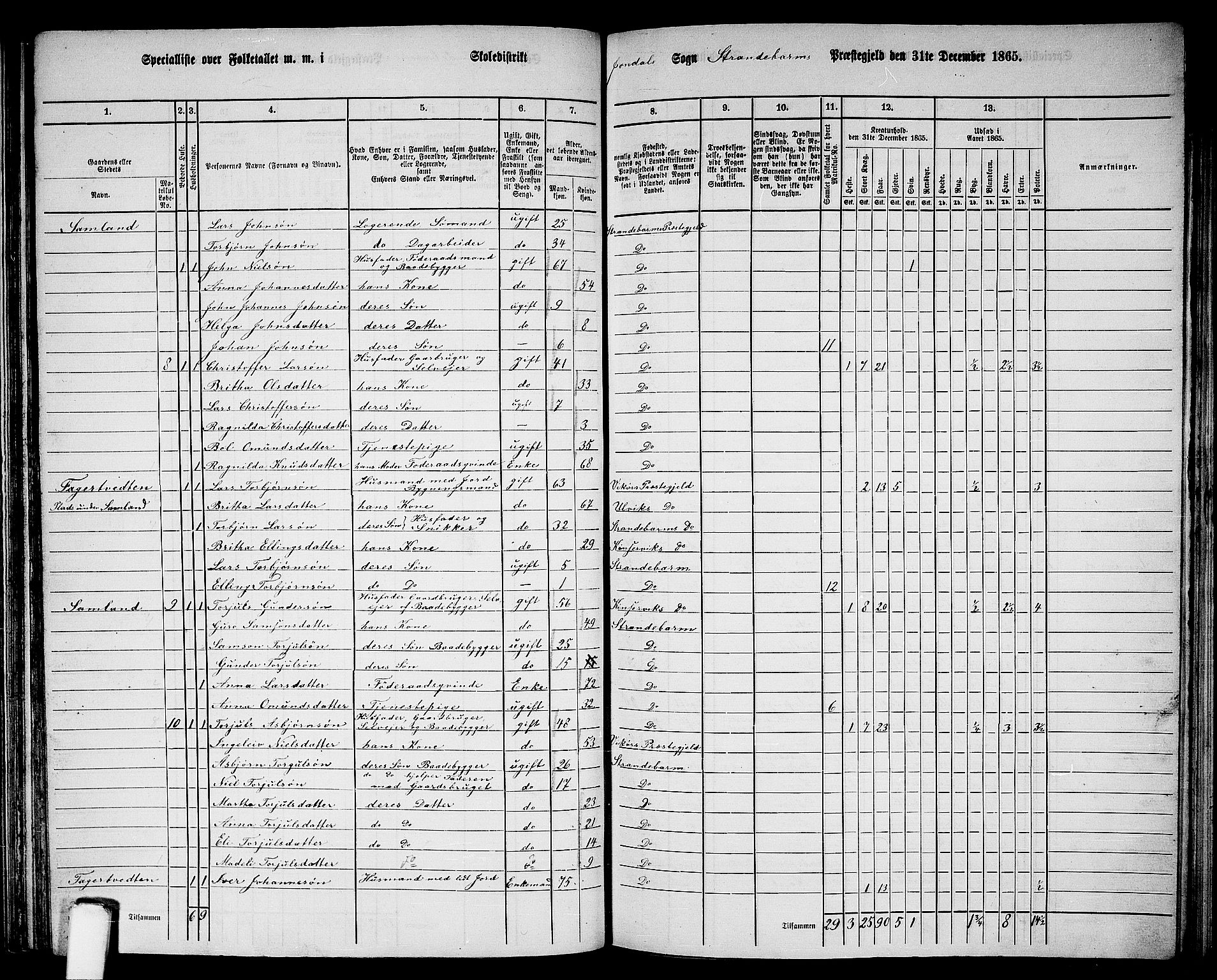 RA, 1865 census for Strandebarm, 1865, p. 146