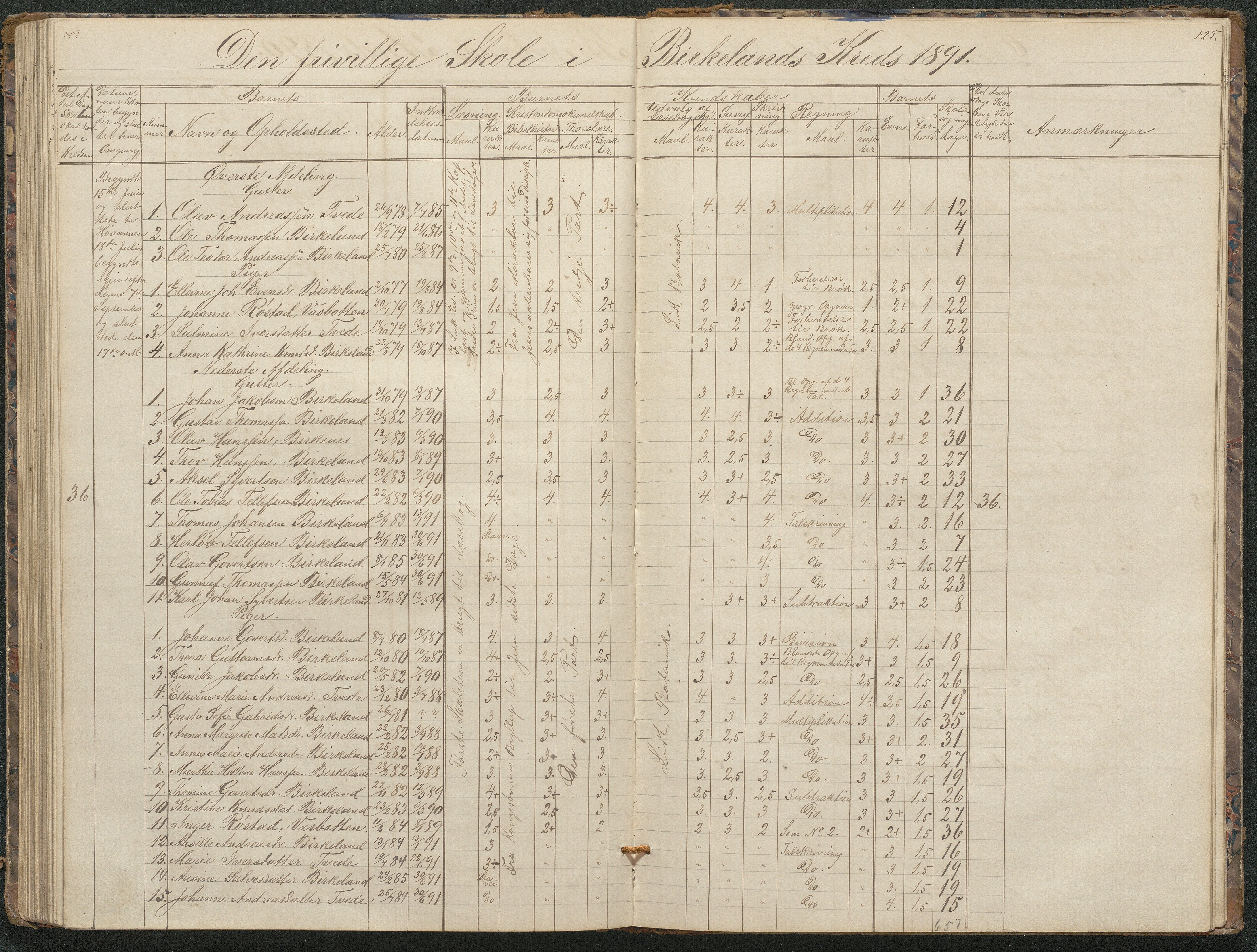 Birkenes kommune, Birkenes krets/Birkeland folkeskole frem til 1991, AAKS/KA0928-550a_91/F02/L0001: Skoleprotokoll, 1862-1896, p. 125