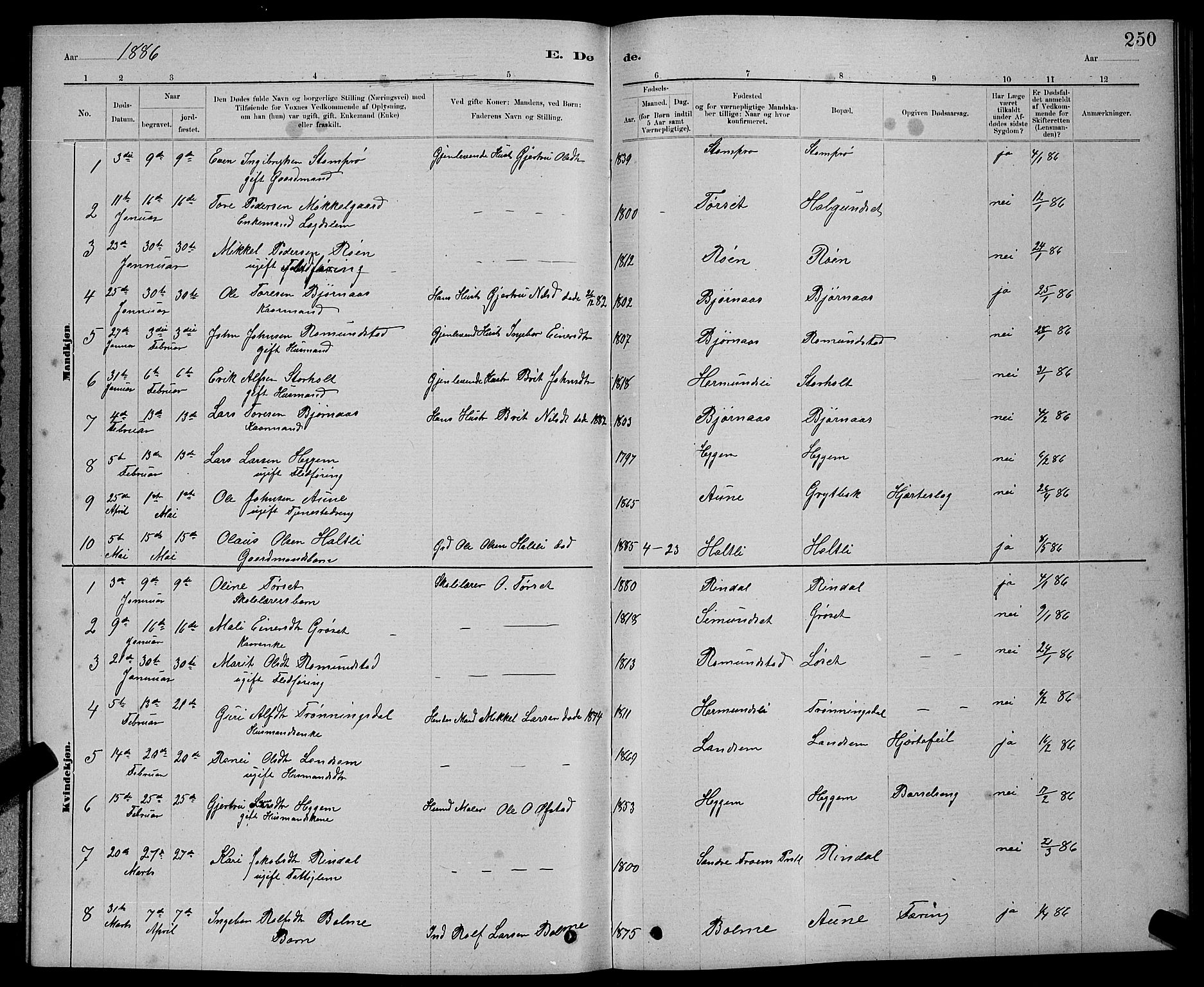 Ministerialprotokoller, klokkerbøker og fødselsregistre - Møre og Romsdal, AV/SAT-A-1454/598/L1077: Parish register (copy) no. 598C02, 1879-1891, p. 250