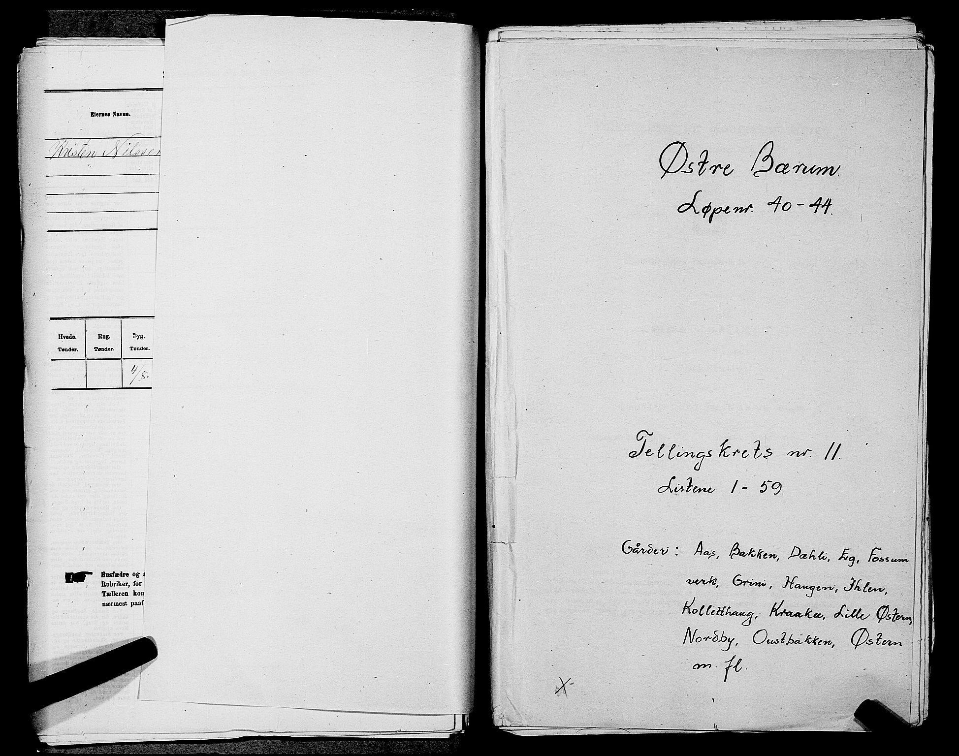 RA, 1875 census for 0220P Asker, 1875, p. 1908