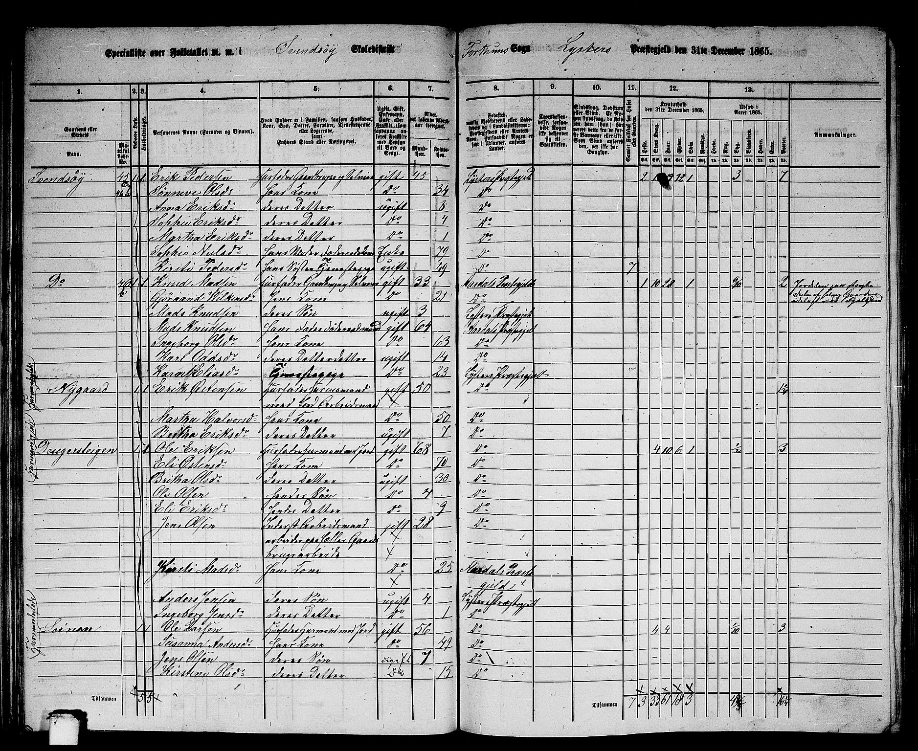 RA, 1865 census for Luster, 1865, p. 42