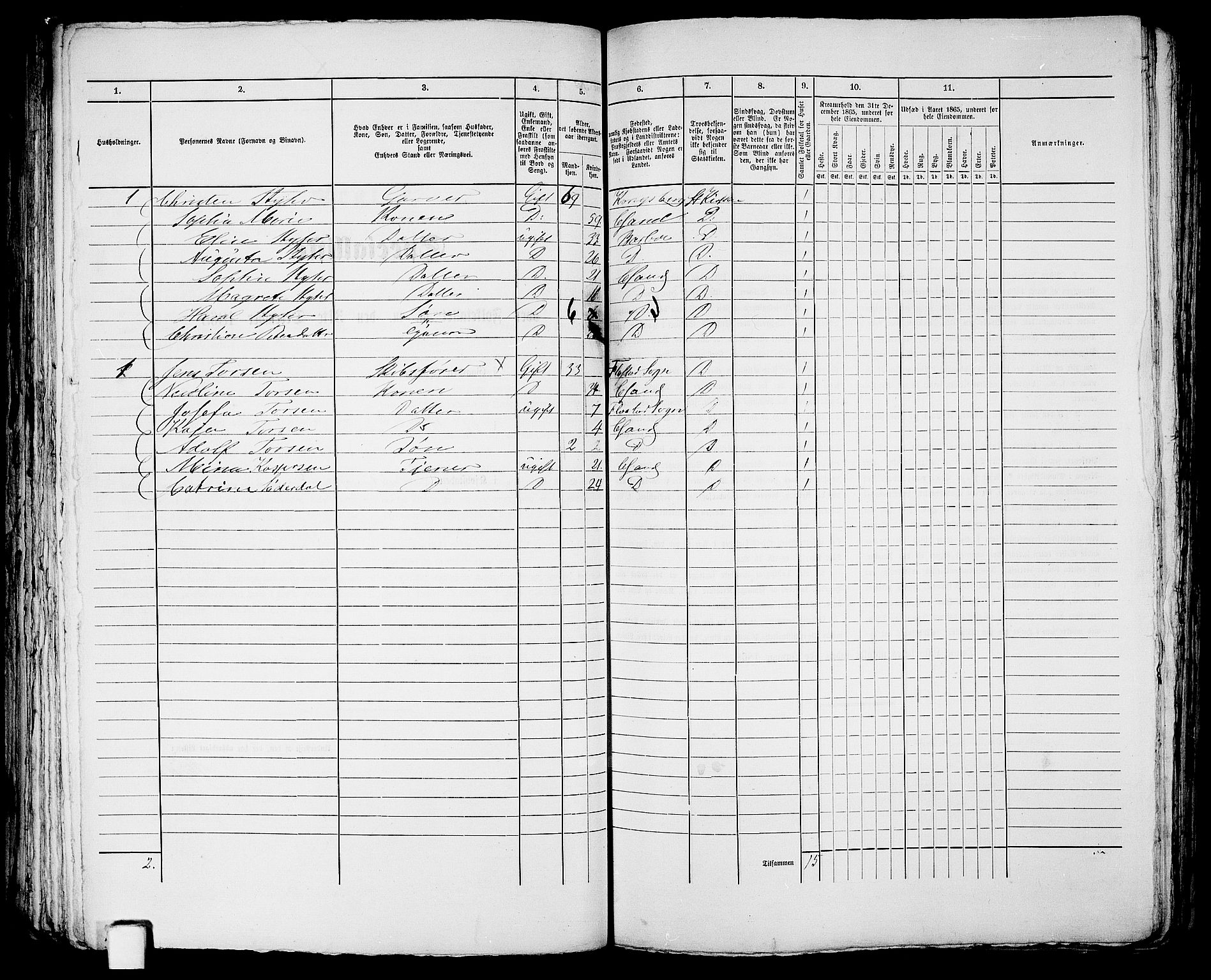 RA, 1865 census for Kristiansand, 1865, p. 1725