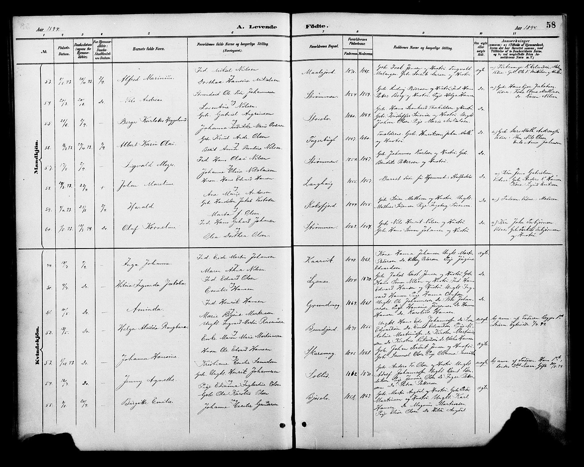 Lenvik sokneprestembete, SATØ/S-1310/H/Ha/Haa/L0013kirke: Parish register (official) no. 13, 1890-1898, p. 58
